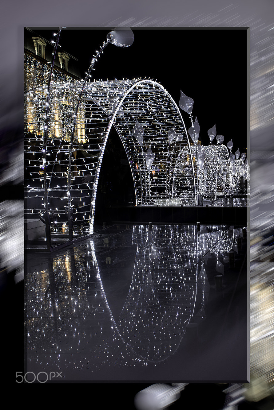 Nikon D5 sample photo. Christmas lights photography