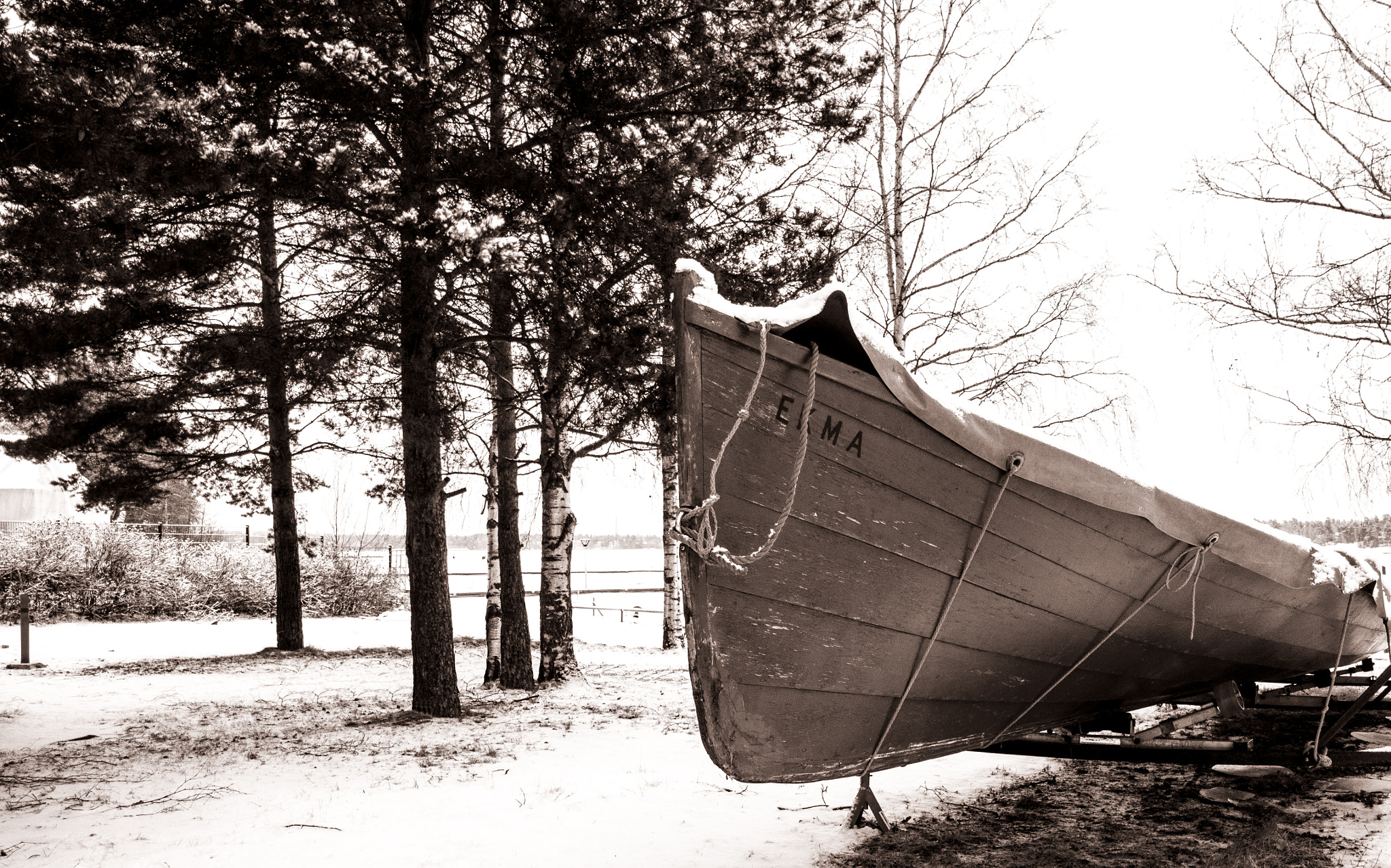 Nikon D500 sample photo. Winterschlaf photography
