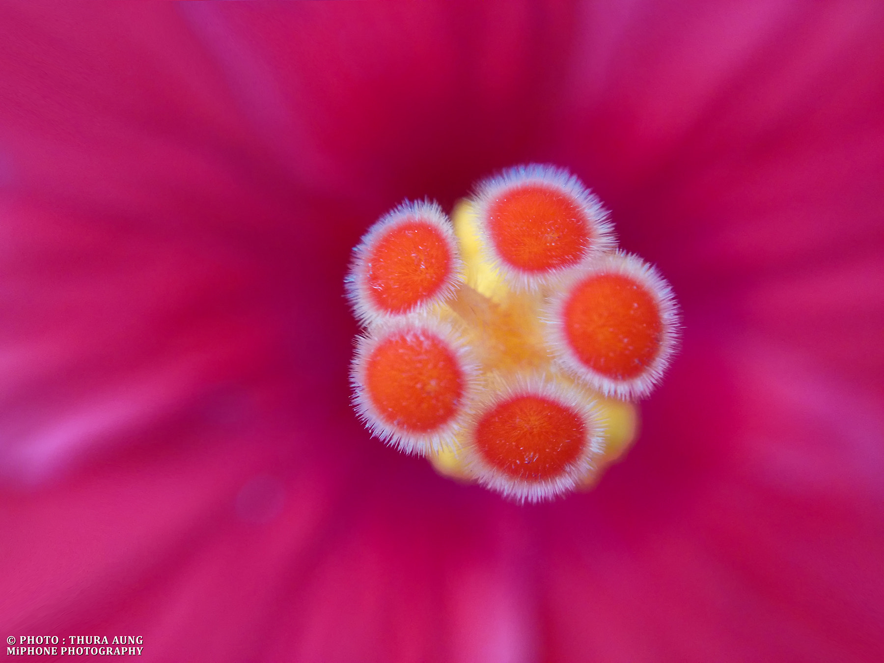 Xiaomi MI3 sample photo. S t i g m a photography