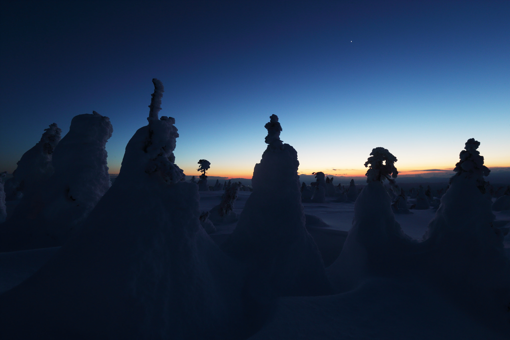 Canon EF 16-35mm F2.8L II USM sample photo. Shine on the tree ice. photography