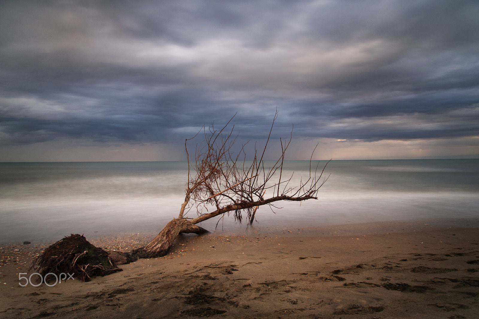 Nikon D700 sample photo. Life after death photography