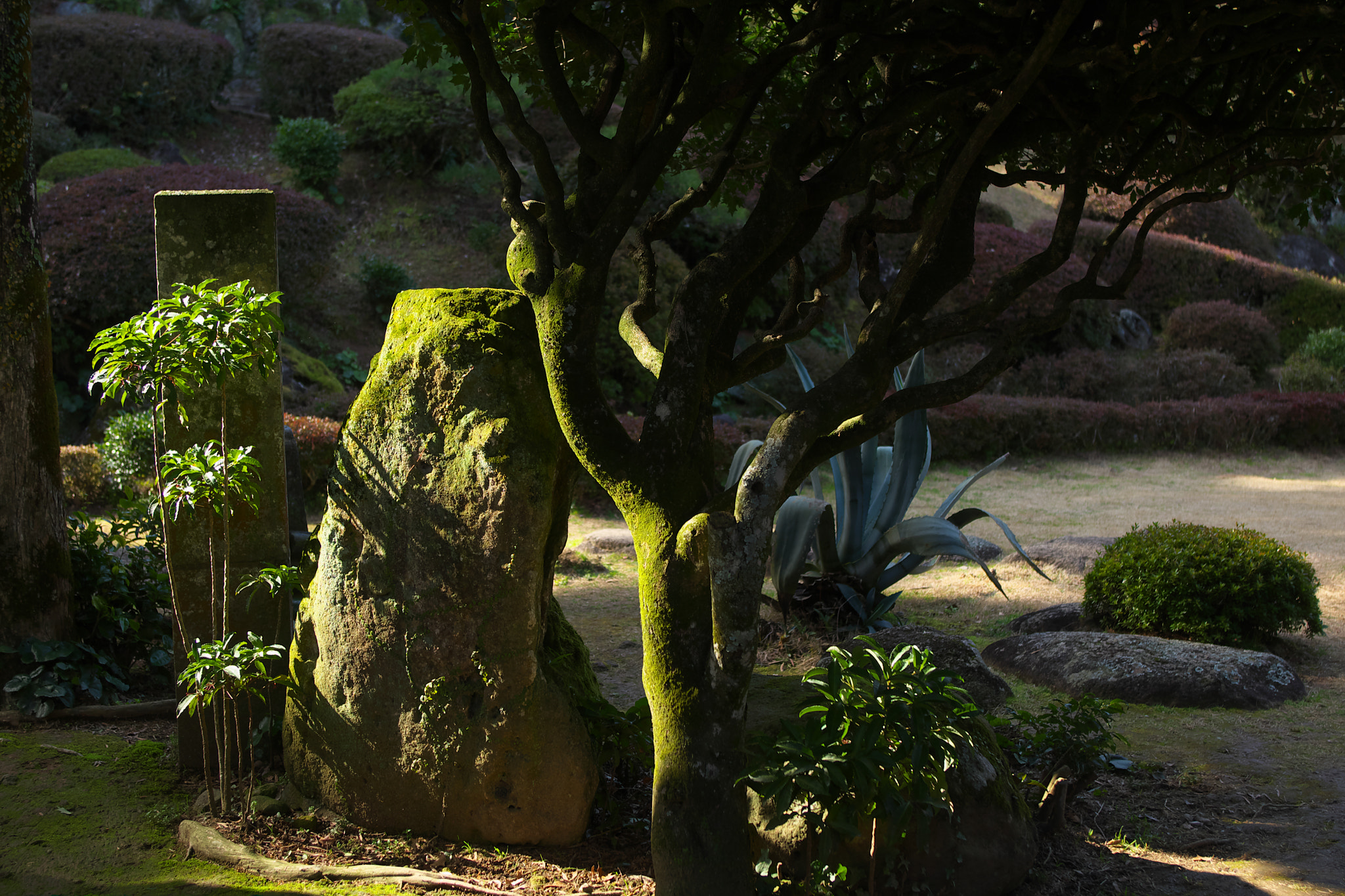 EF28-70mm f/2.8L USM sample photo. Japnese garden photography