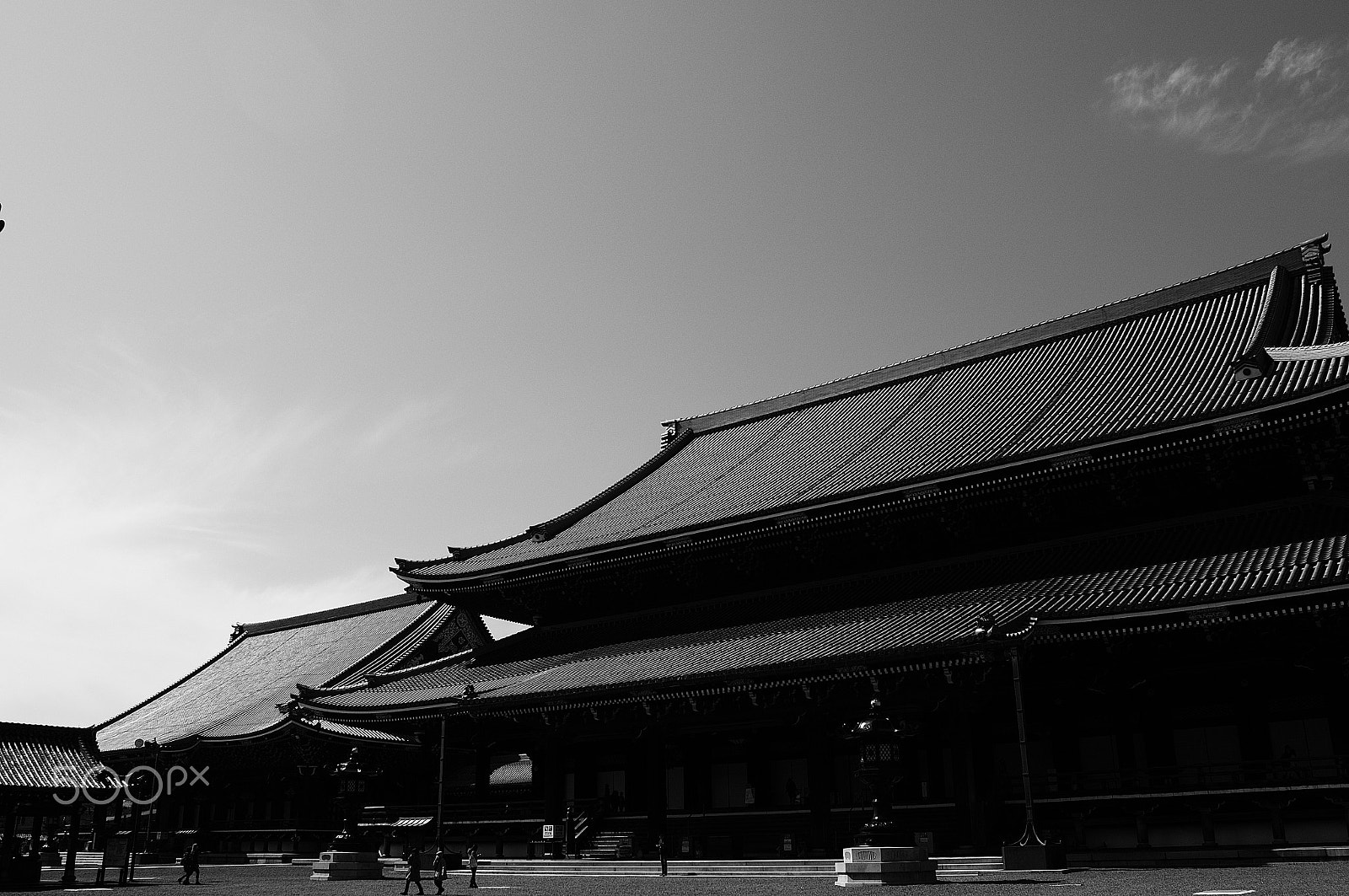 Nikon D300S + Nikon AF Nikkor 20mm F2.8D sample photo. 大屋根 photography