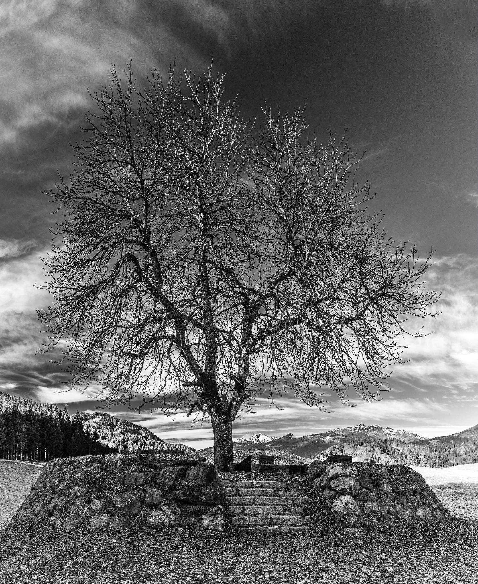Canon EF 24-70mm F4L IS USM sample photo. Have a rest b&w photography