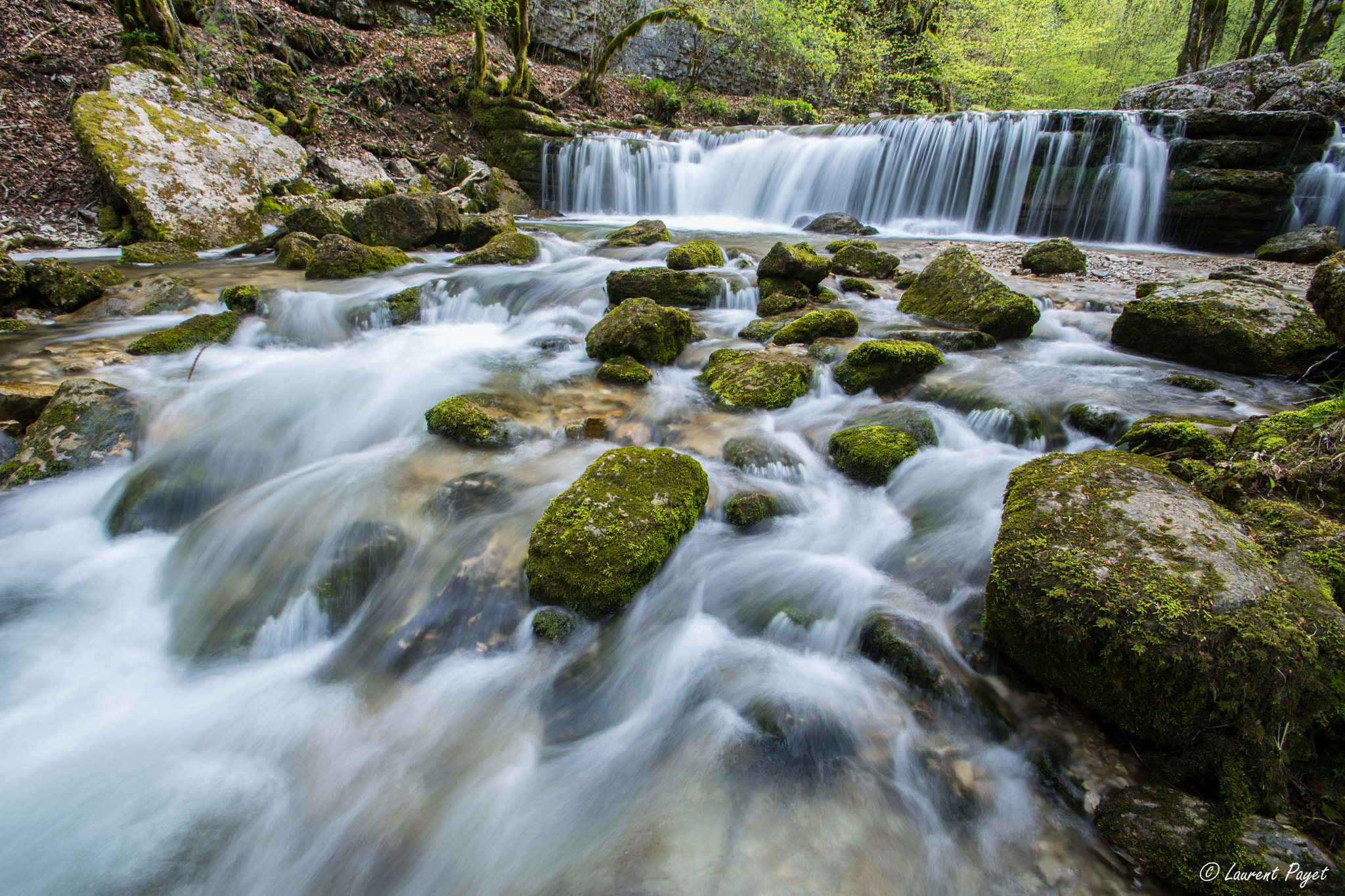 Nikon D7200 sample photo. River hérisson photography