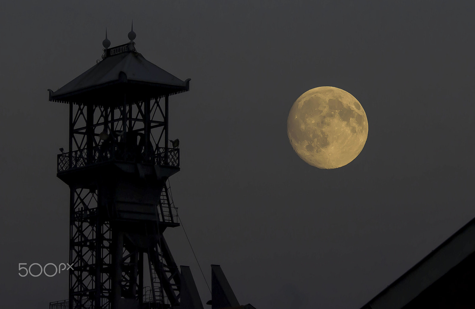 Sigma 120-400mm F4.5-5.6 DG OS HSM sample photo. Mine photography