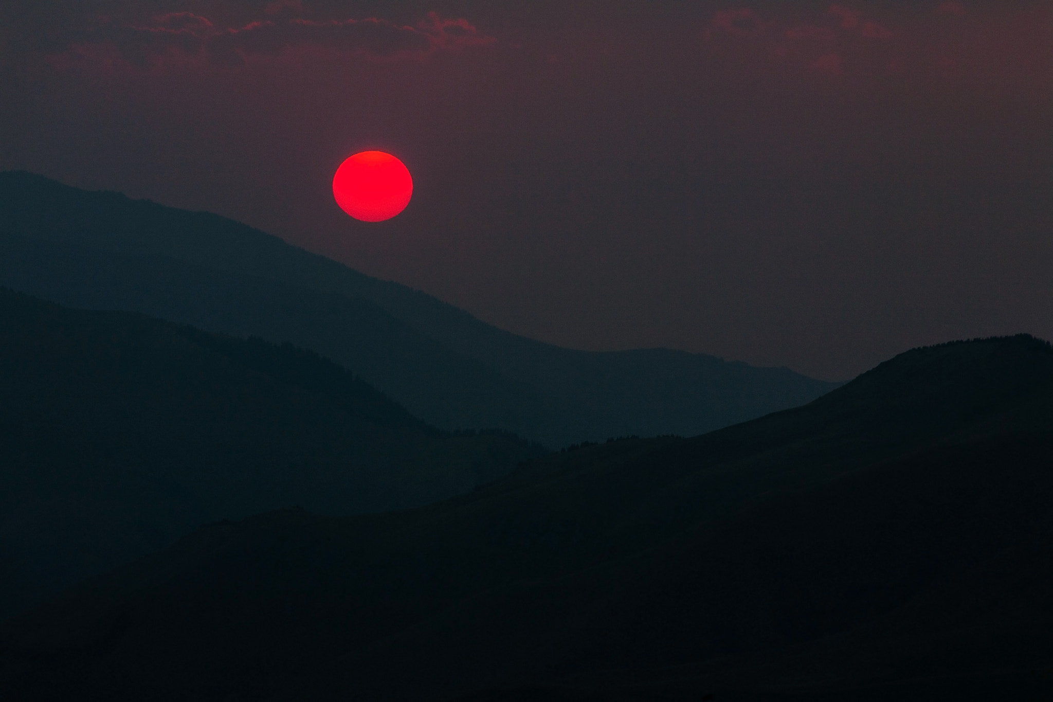 Canon EF 75-300mm f/4-5.6 USM sample photo. *** photography