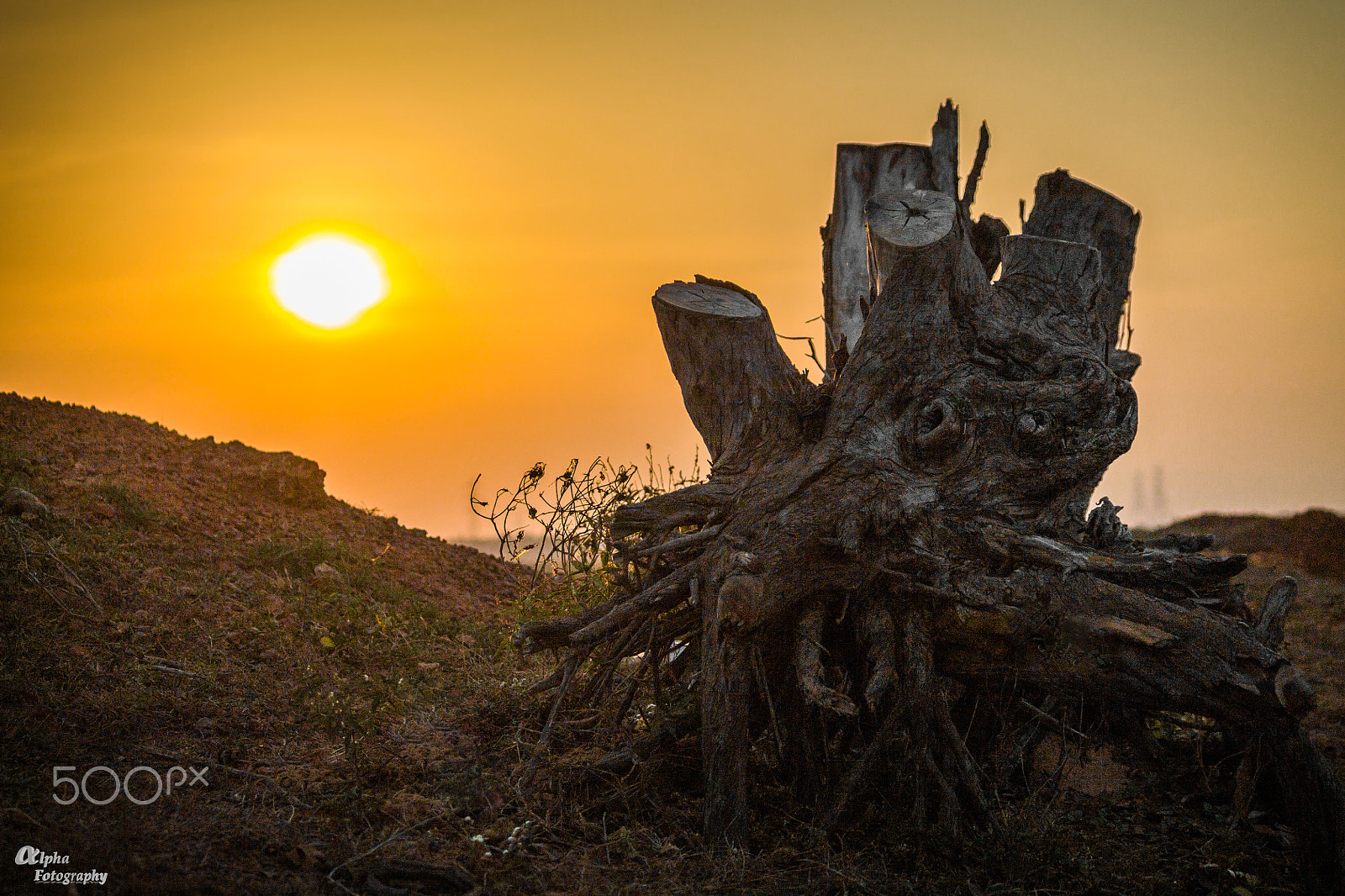 Canon EF-S 55-250mm F4-5.6 IS sample photo. Our hope photography