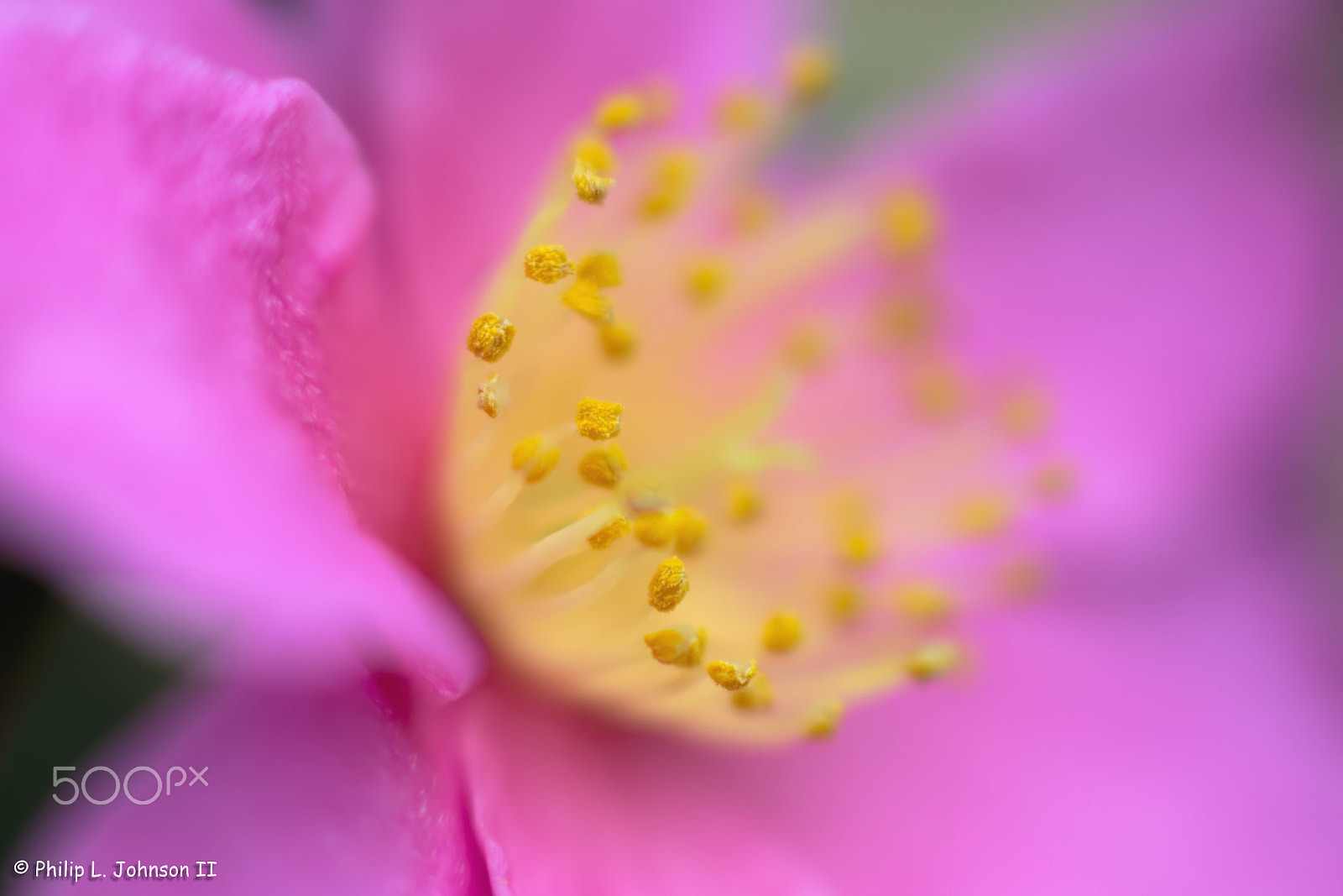 Canon EF 85mm F1.8 USM sample photo. Is it spring yet? photography