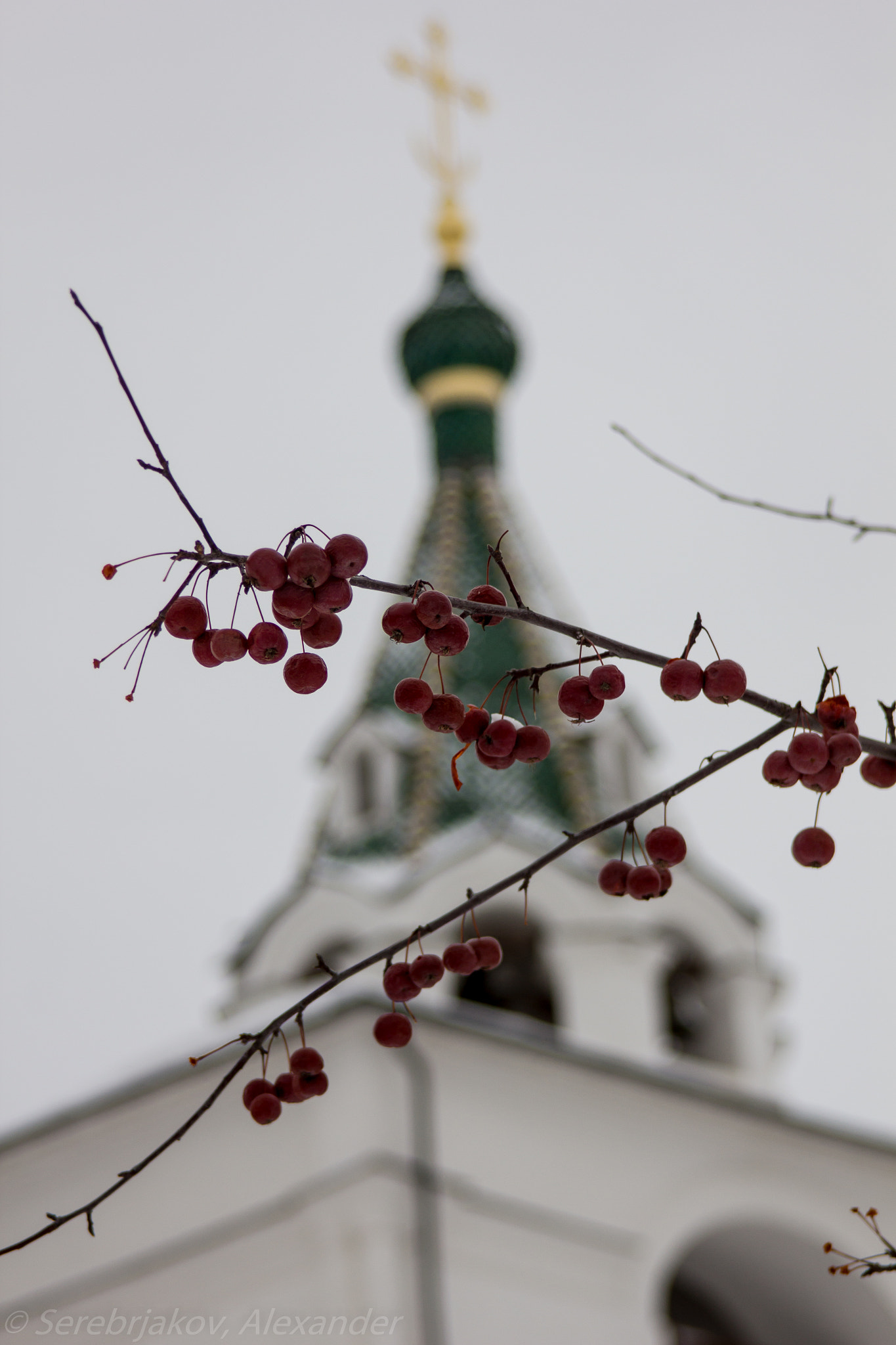 Canon EF 28-200mm F3.5-5.6 USM sample photo. Chinese apples on tower background photography