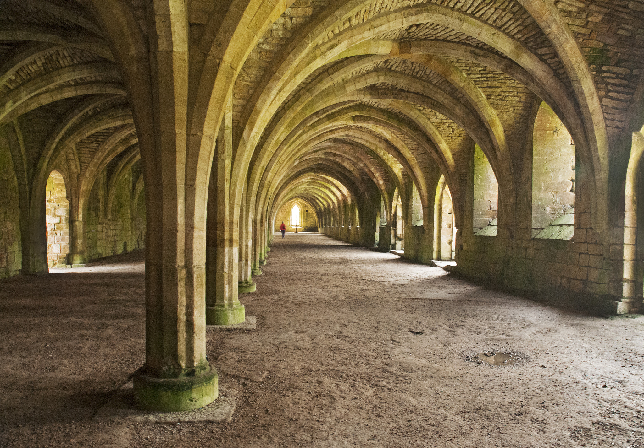 Nikon D300 sample photo. Cellarium, fountains abbey photography