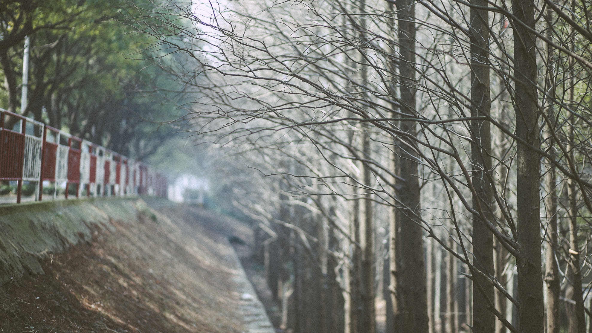 Canon EF 85mm F1.8 USM sample photo