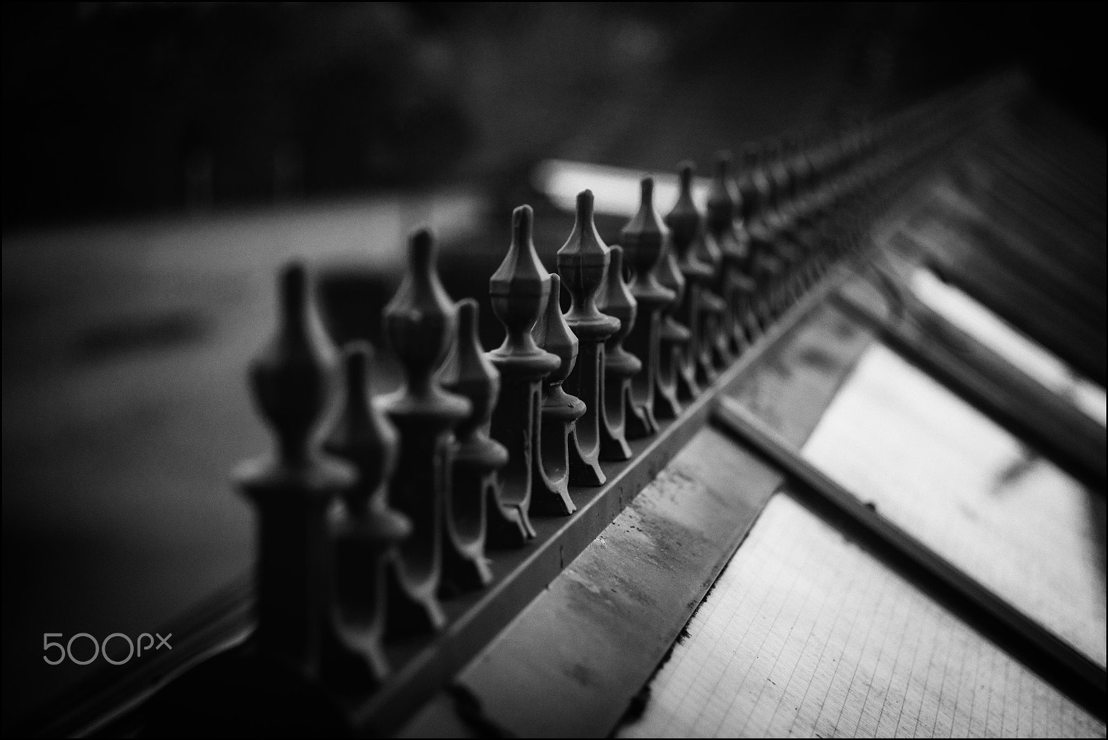Summicron-M 1:2/50 sample photo. The cat burglar photography