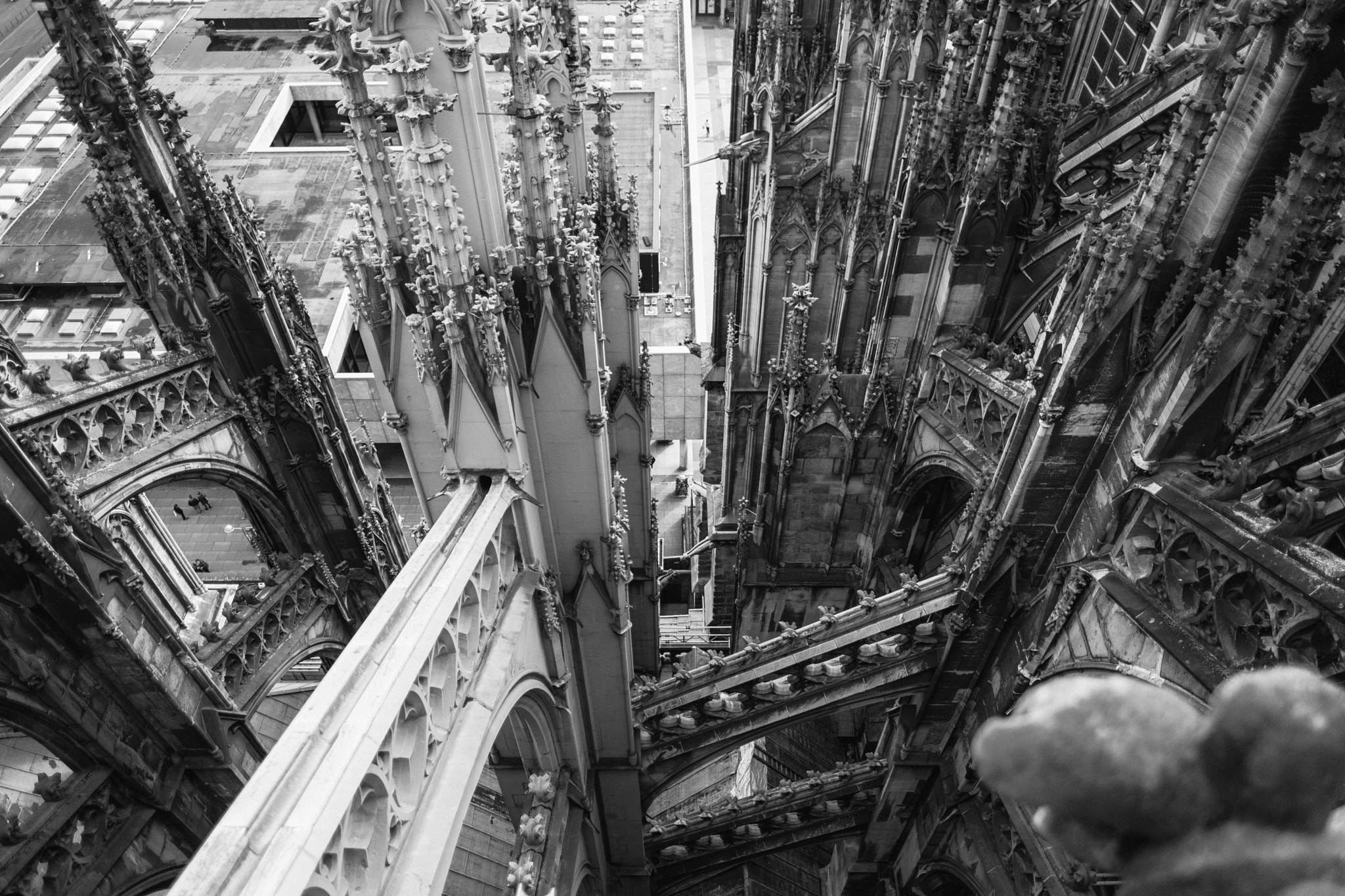 Fujifilm X-Pro2 + Fujifilm XF 16mm F1.4 R WR sample photo. Cologne cathedral with view on the roncalli plaza and roman-german-museum photography