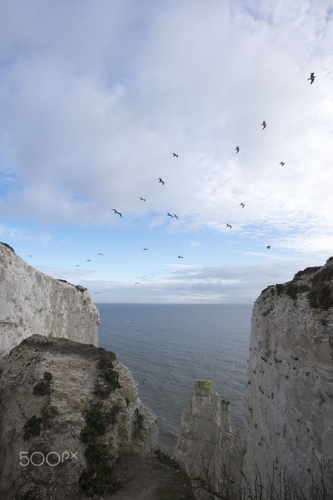 Nikon AF-S Nikkor 17-35mm F2.8D ED-IF sample photo. White cliff @dover photography