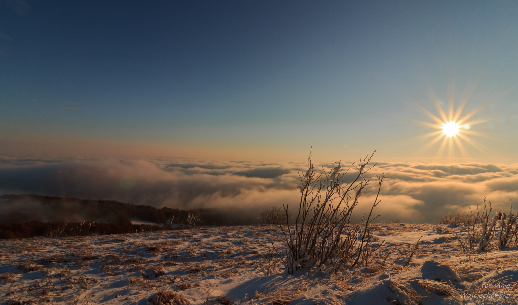 Canon EOS 600D (Rebel EOS T3i / EOS Kiss X5) sample photo. In the morning ... photography