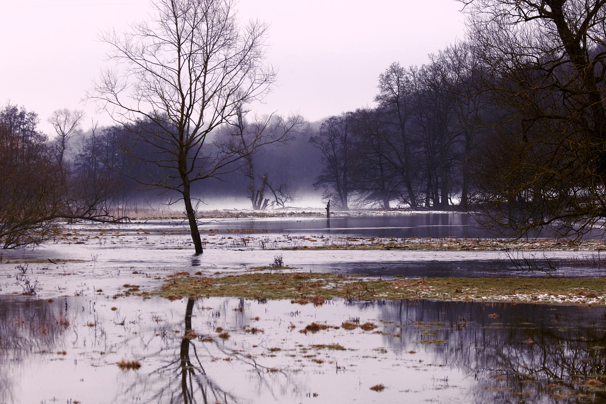 Canon EOS 5DS R sample photo. Fyledalen photography