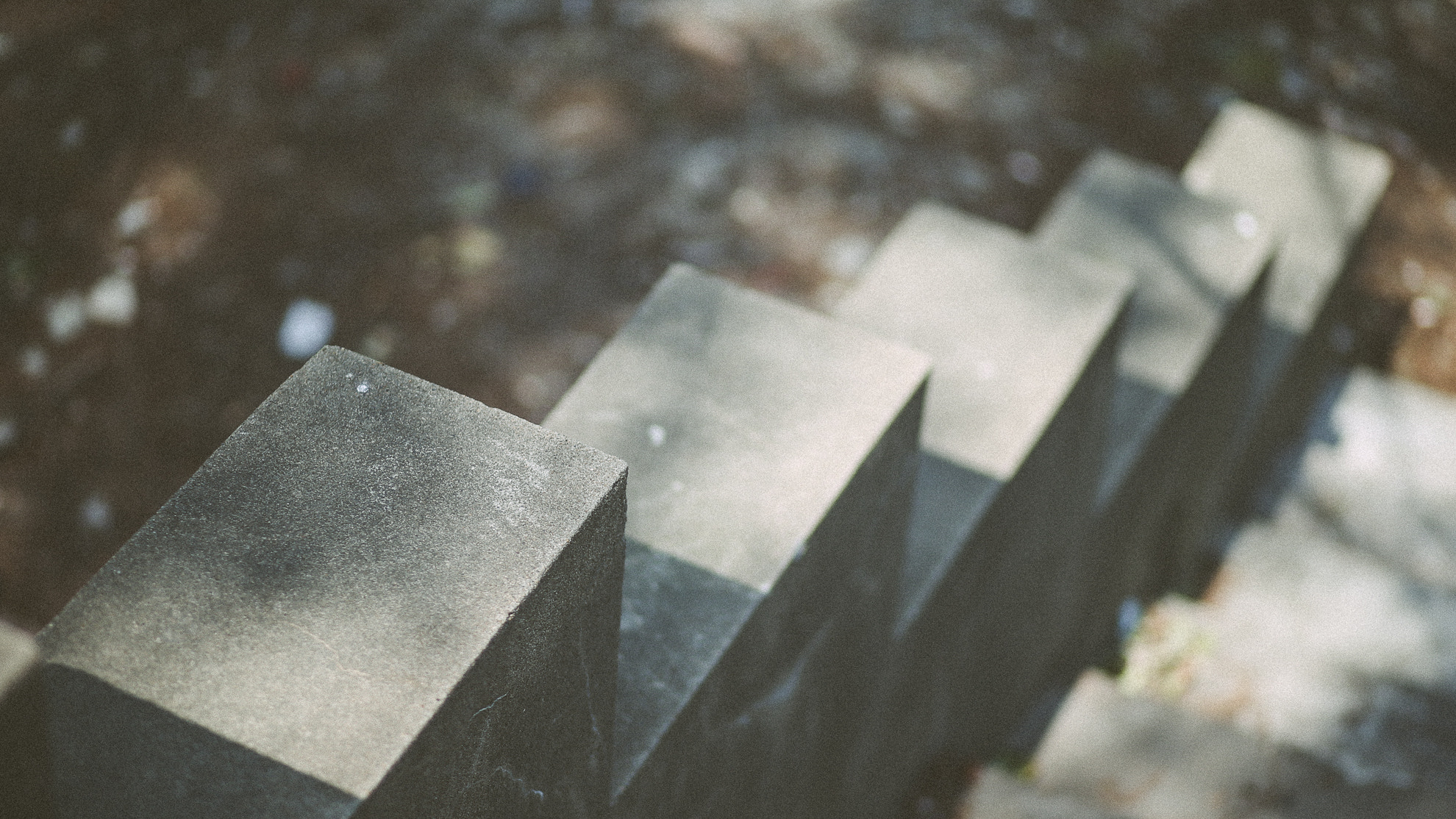 Canon EF 85mm F1.8 USM sample photo