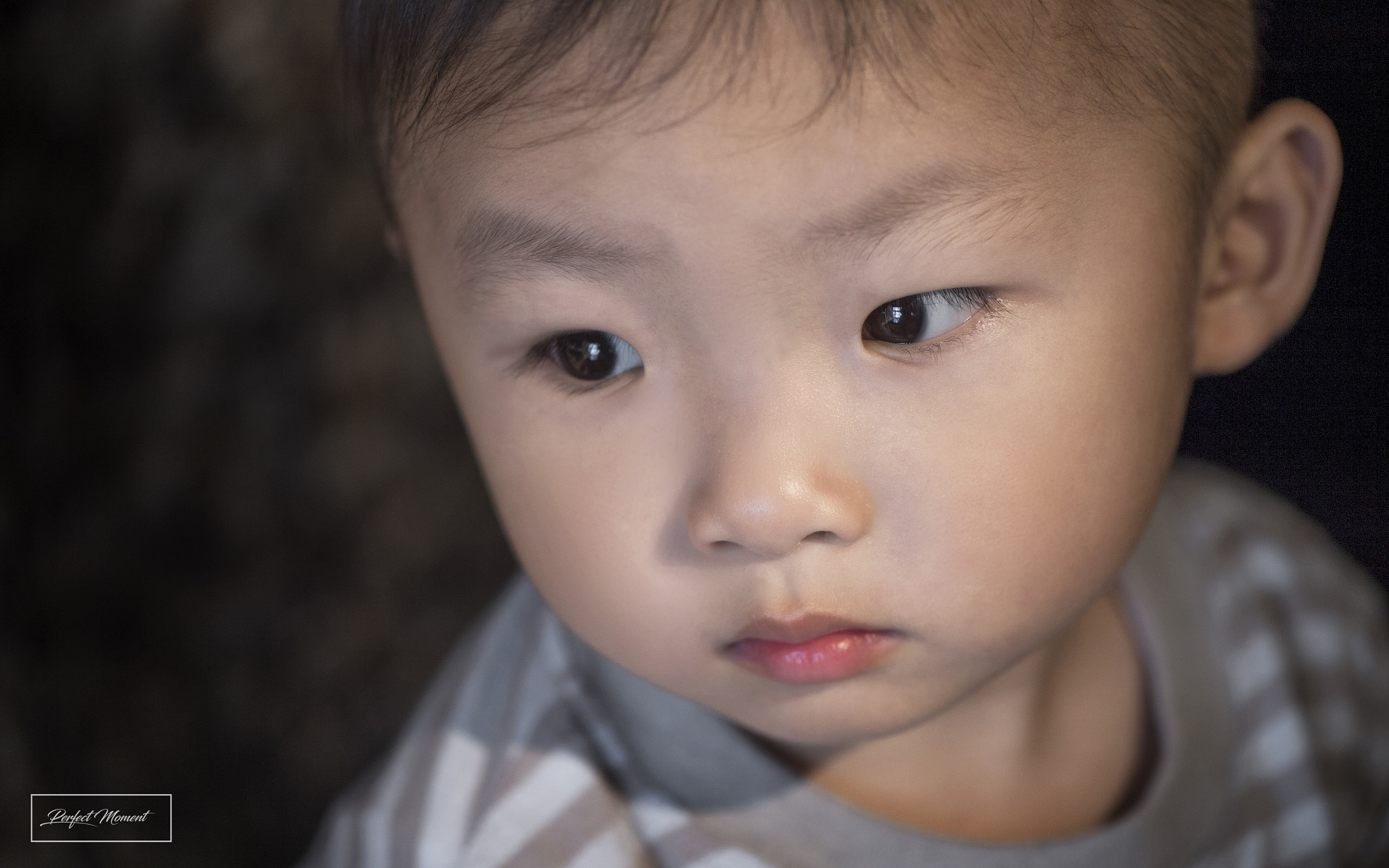 Nikon AF-S Micro-Nikkor 105mm F2.8G IF-ED VR sample photo. Skt photography