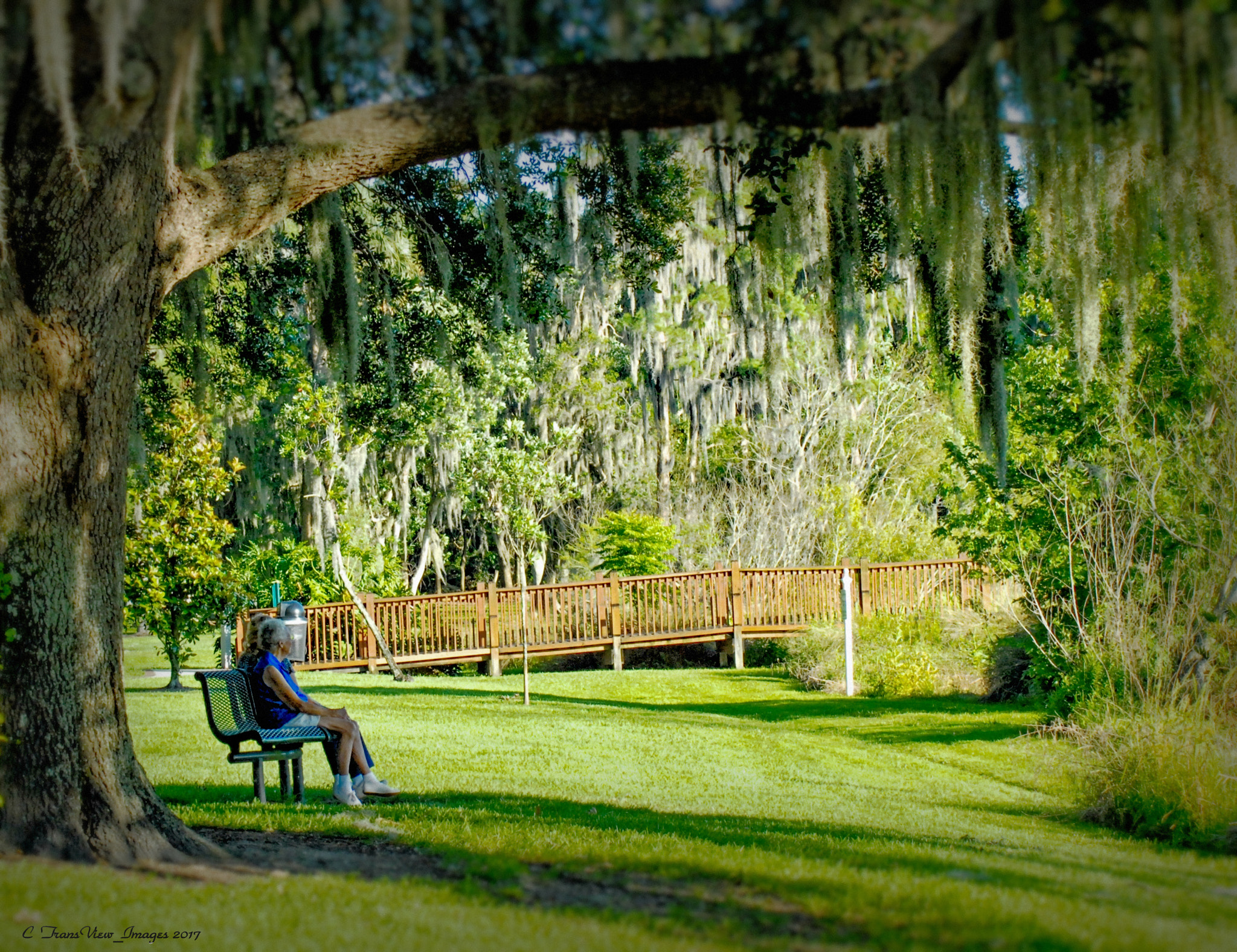 Nikon D200 sample photo. Partner for life photography