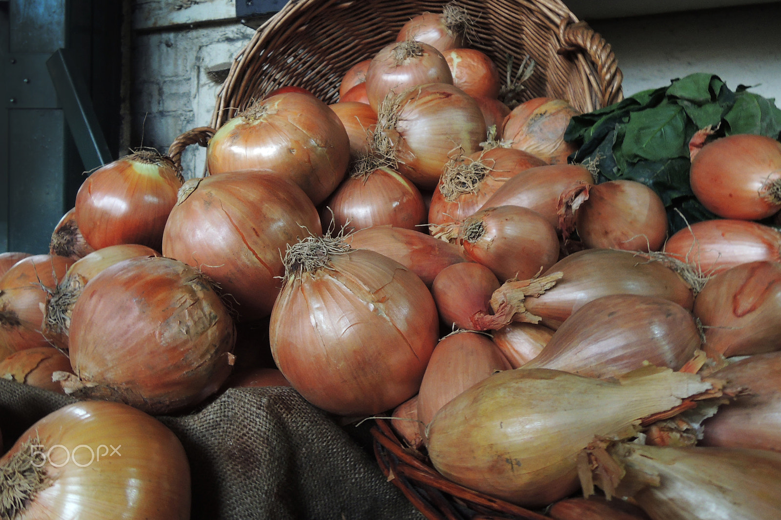 Nikon Coolpix P310 sample photo. A basket full of onions photography