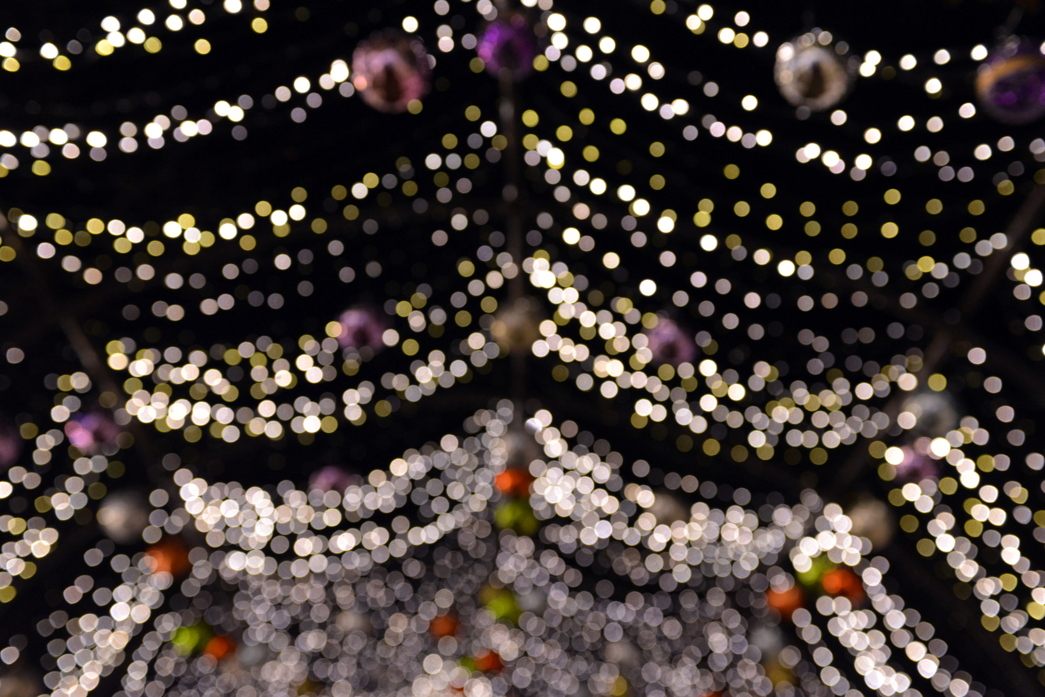 Nikon AF-S Nikkor 28-70mm F2.8 ED-IF sample photo. Light festival photography