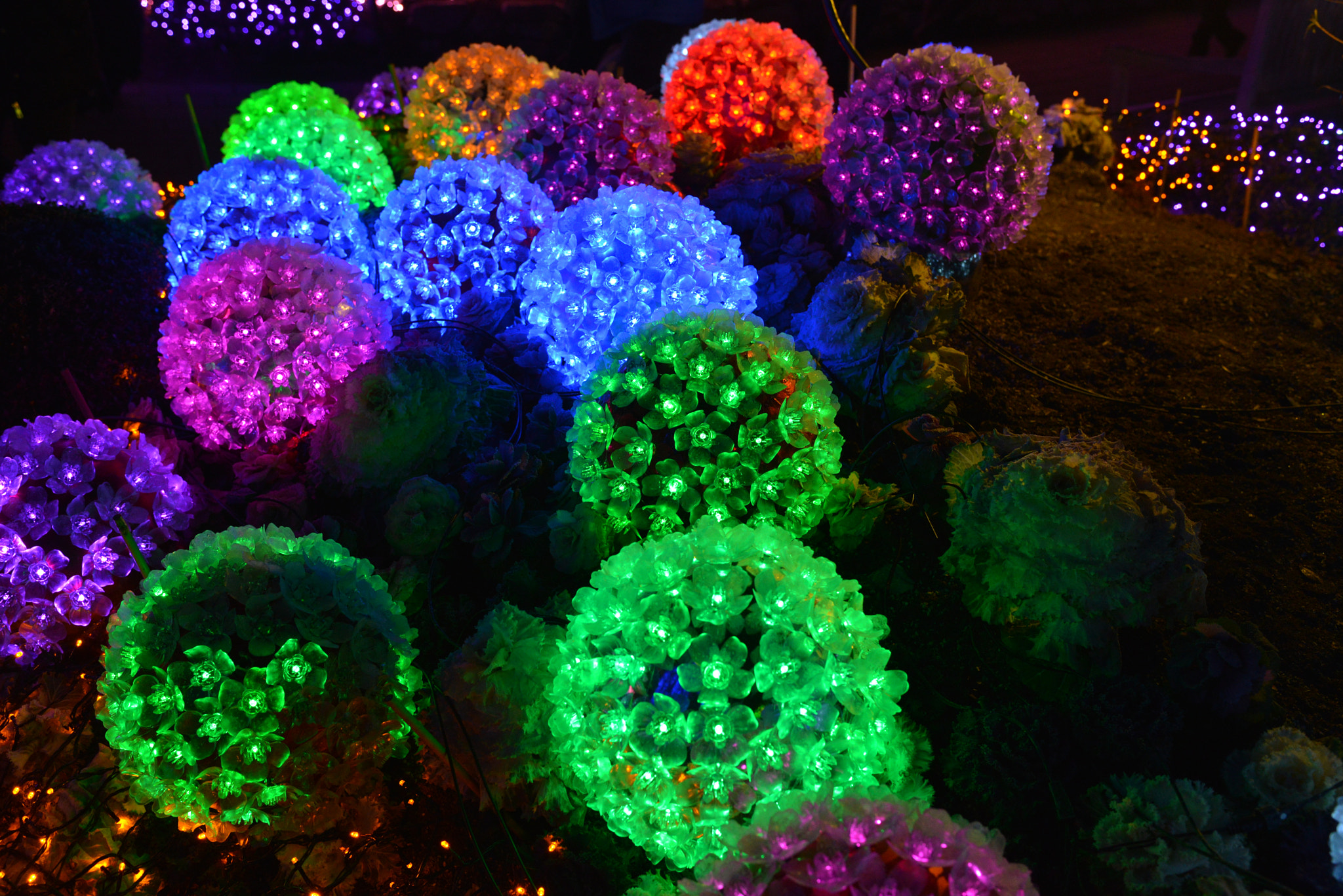 Nikon AF-S Nikkor 28-70mm F2.8 ED-IF sample photo. Light festival photography