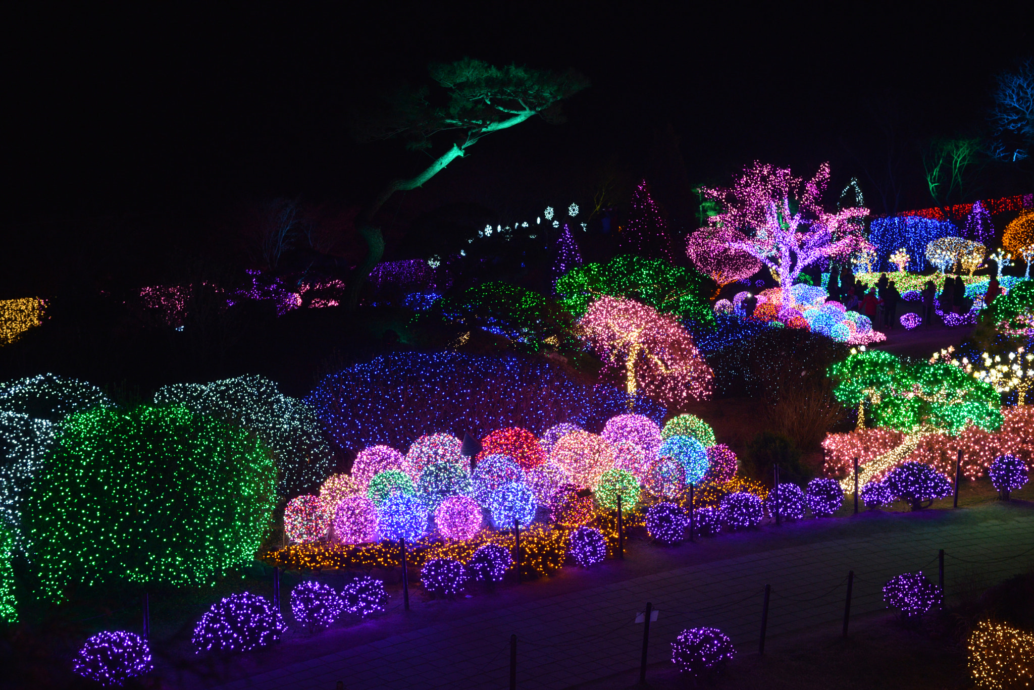 Nikon AF-S Nikkor 28-70mm F2.8 ED-IF sample photo. Light festival photography