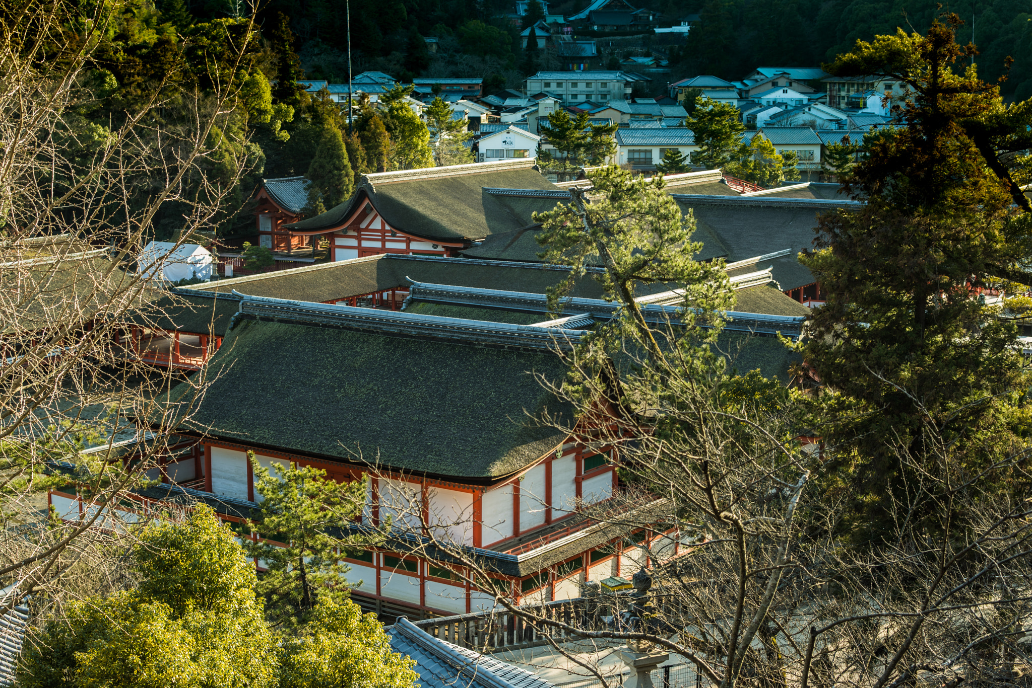 Nikon D750 + Nikon AF-S Nikkor 58mm F1.4G sample photo. Itsukushima shrine photography