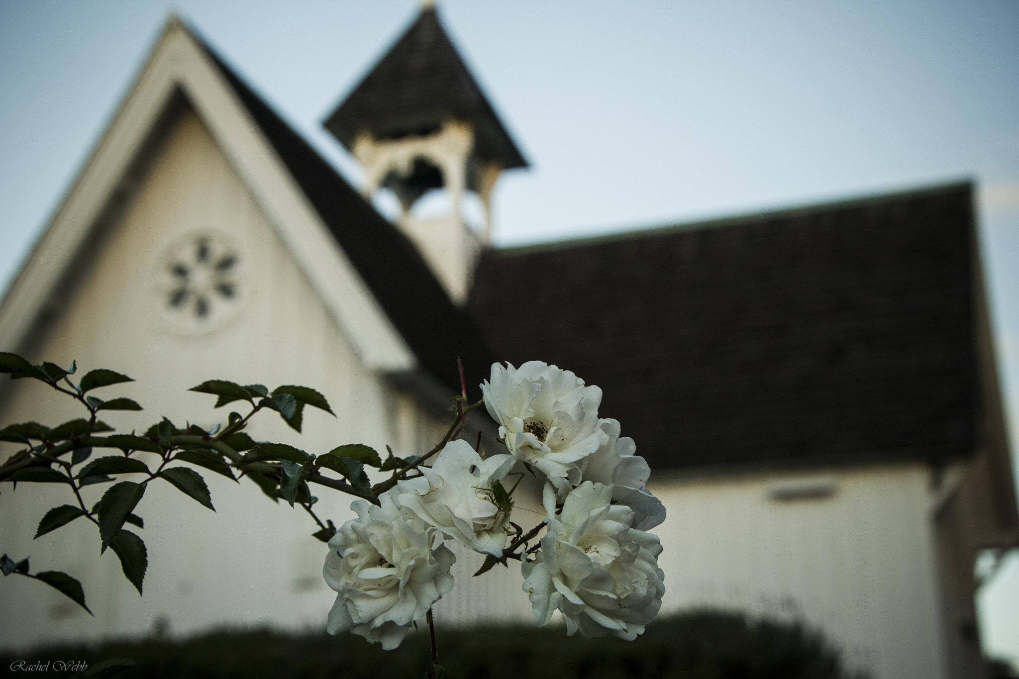 Canon EOS 550D (EOS Rebel T2i / EOS Kiss X4) sample photo. Church  photography