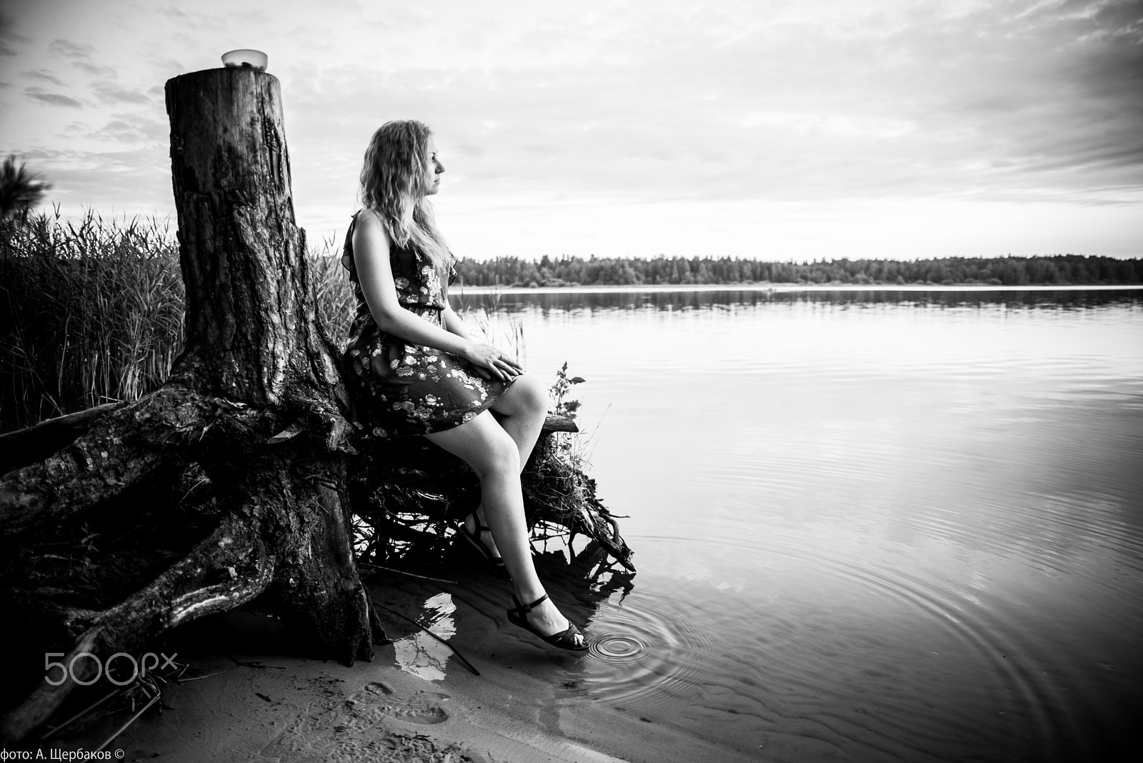Sigma 24-70mm F2.8 EX DG HSM sample photo. Black and white sunset photography
