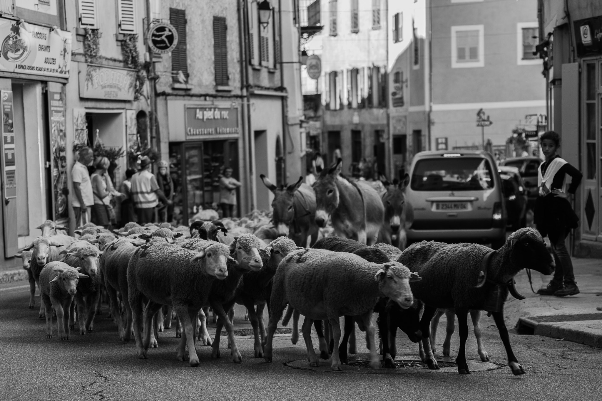Canon EF 28-300mm F3.5-5.6L IS USM sample photo. Transhumance photography