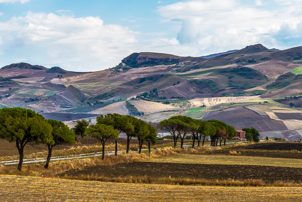 Canon EF 70-200mm F2.8L IS USM sample photo. Sicily landscapes photography