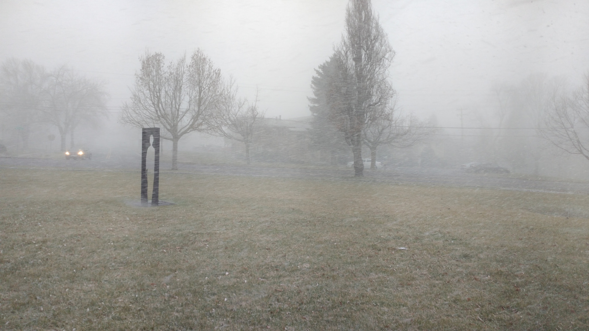 ZTE A2017U sample photo. Snow squall photography