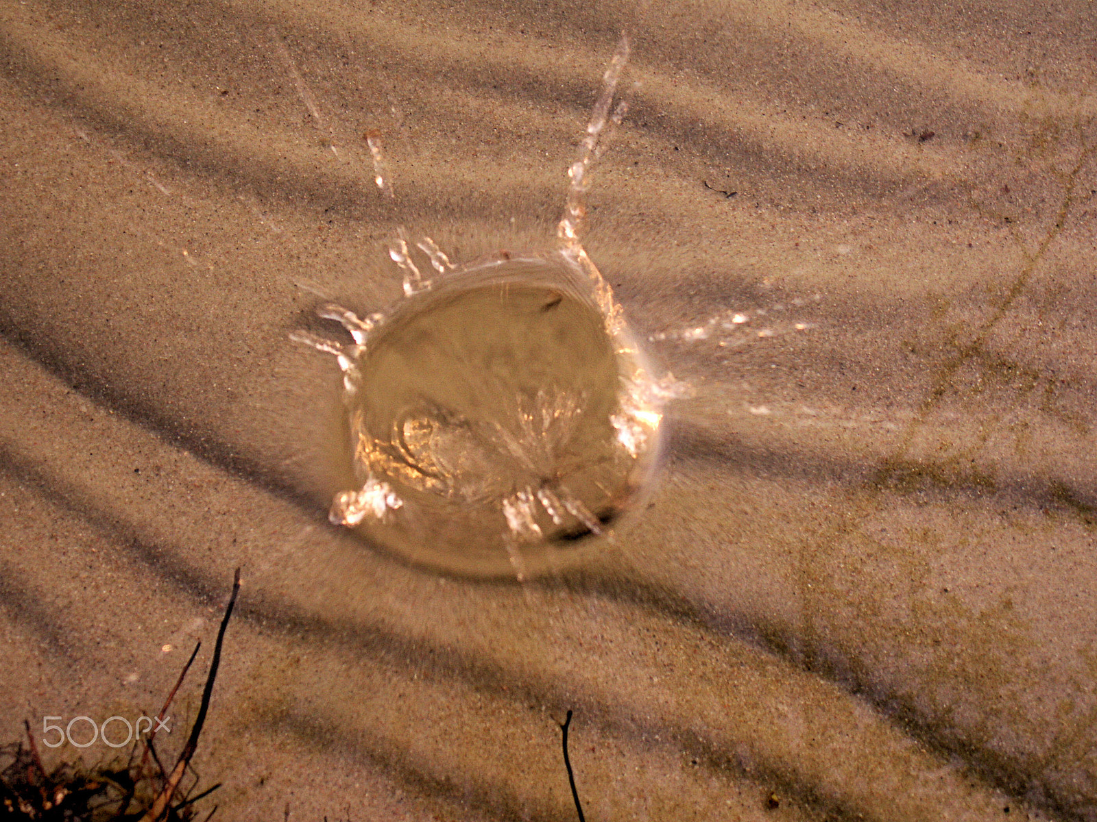 KONICA MINOLTA DiMAGE Z6 sample photo. Splash photography