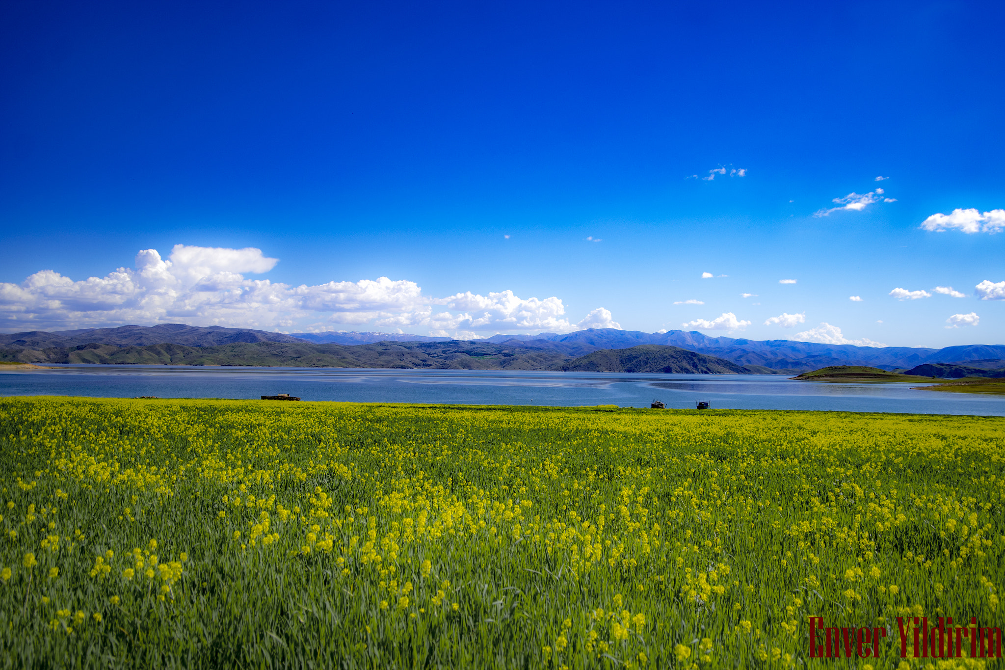 Pentax smc DA 16-45mm F4 ED AL sample photo. Xidiroz photography