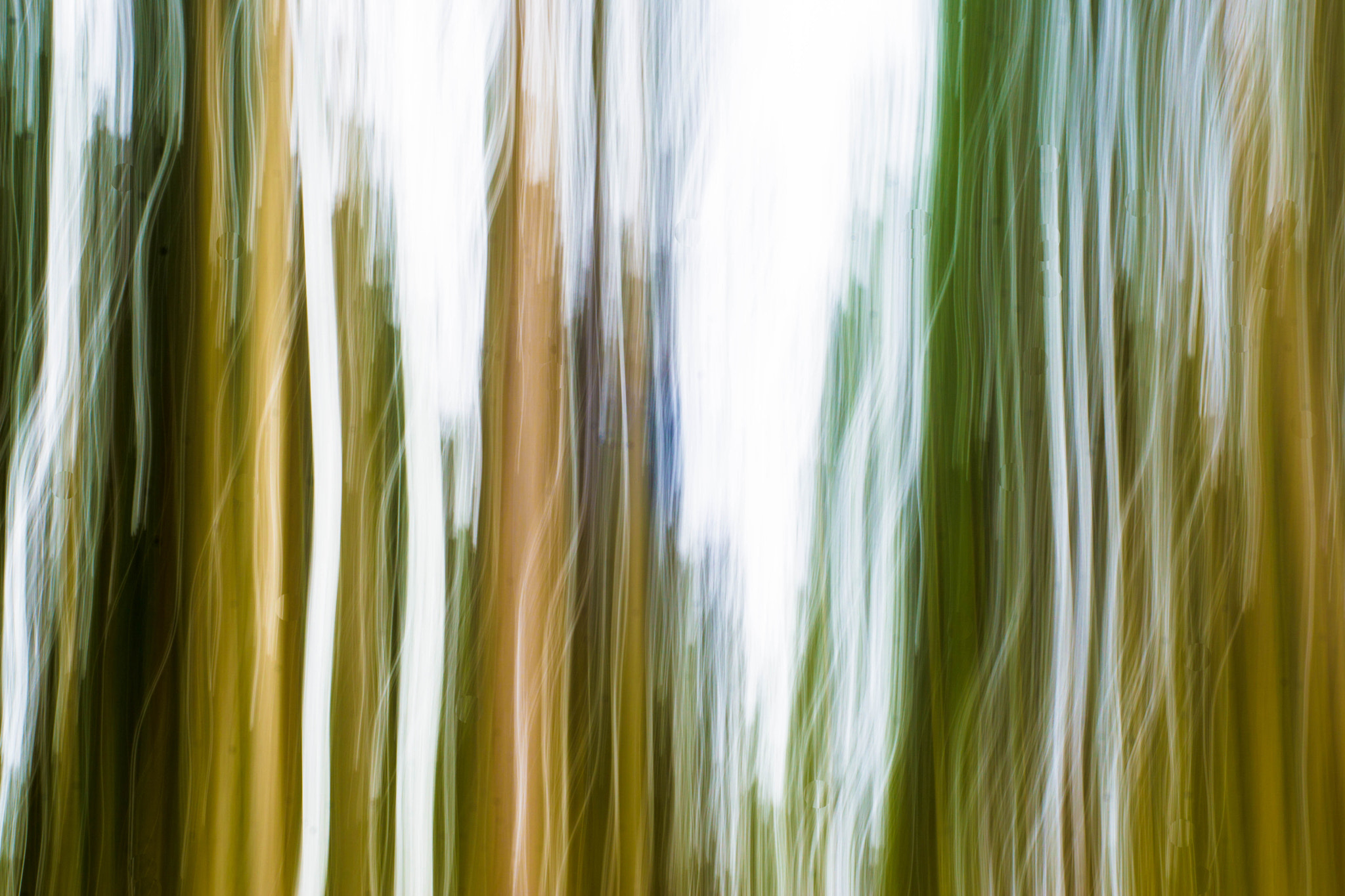 MACRO 50mm F2.8 sample photo. Forstenrieder park - zukunft photography