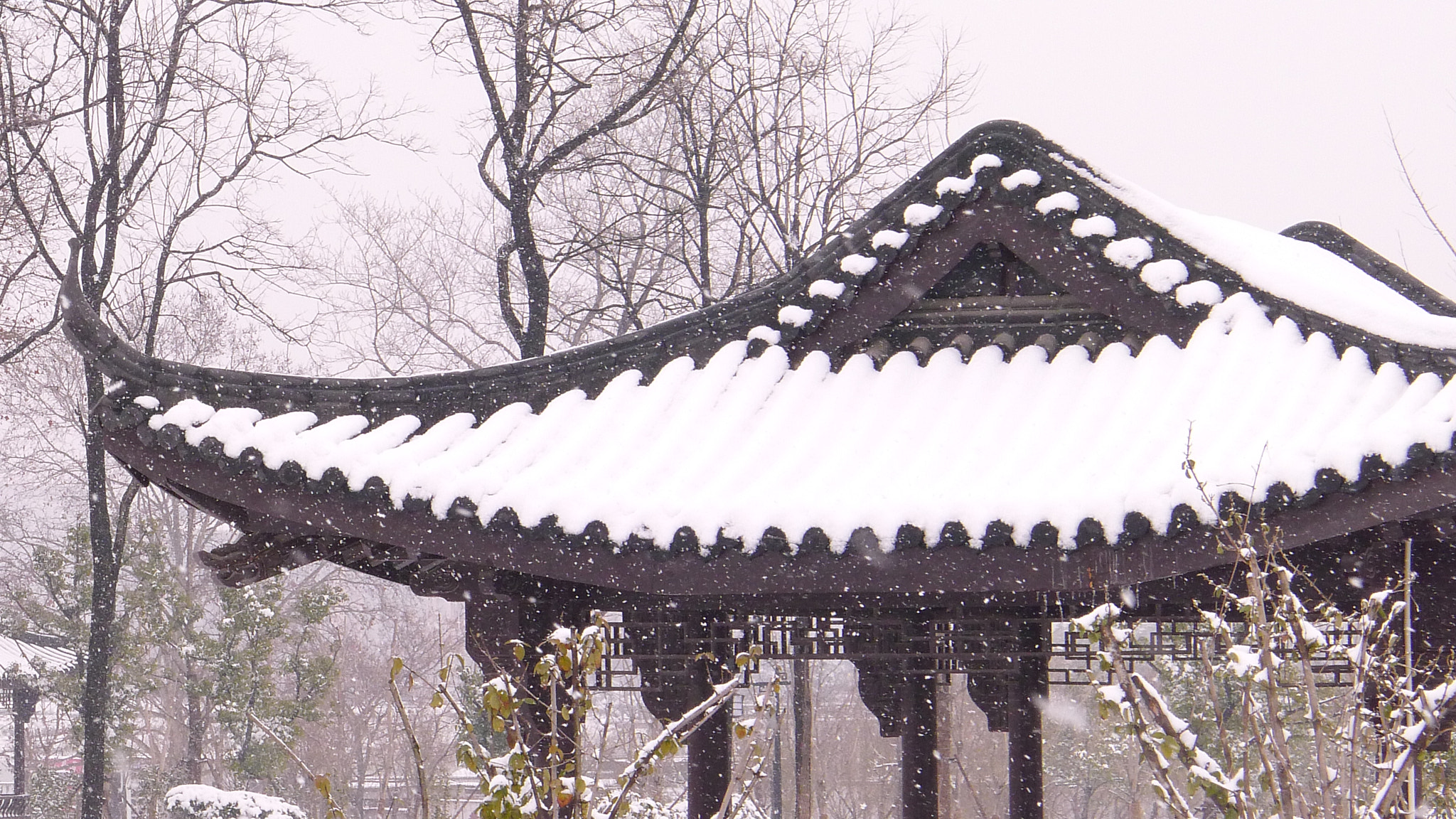 Leica D-LUX 5 sample photo. 冬雪 photography