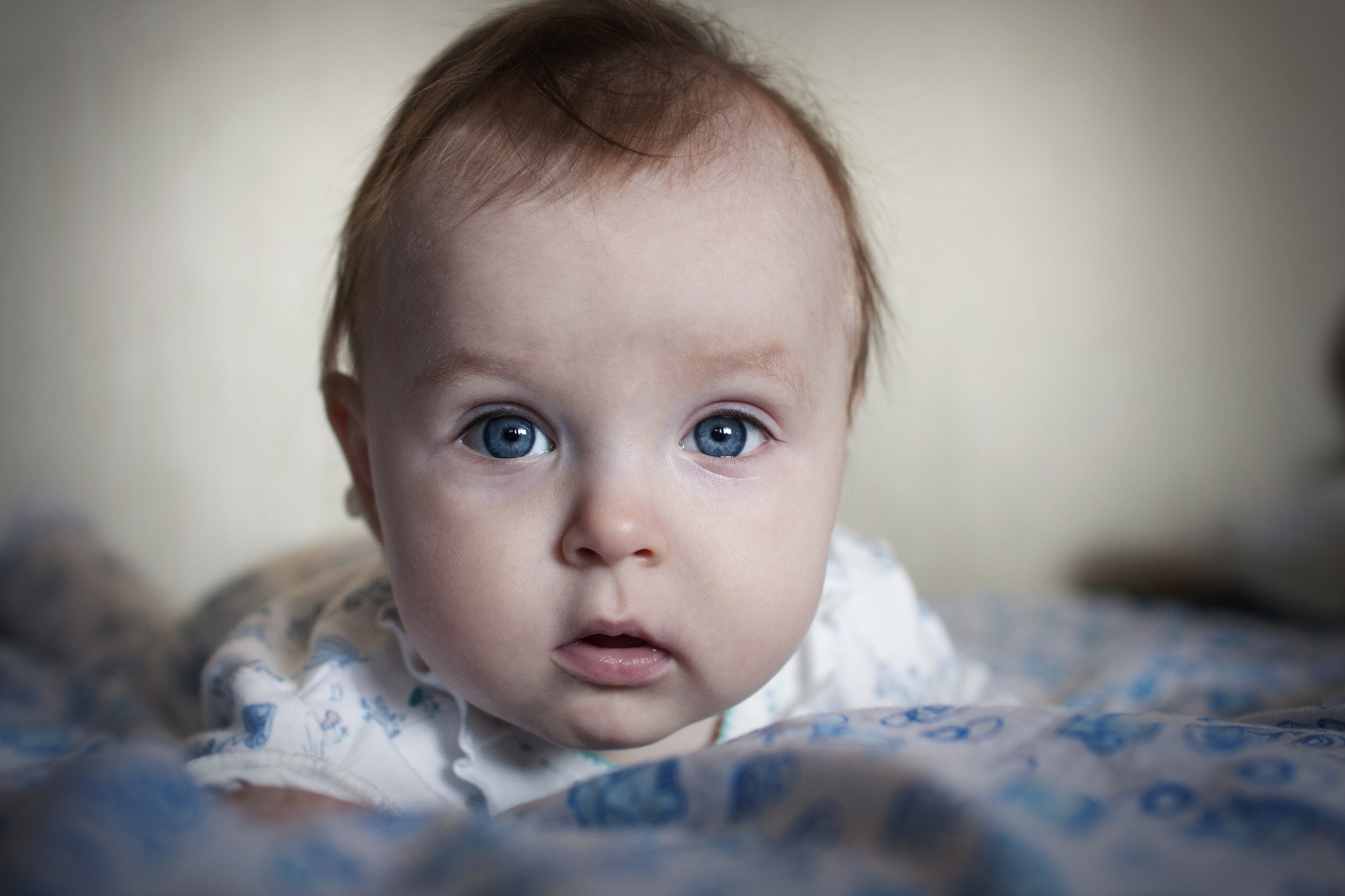 Sigma 30mm F1.4 EX DC HSM sample photo. Sophy photography