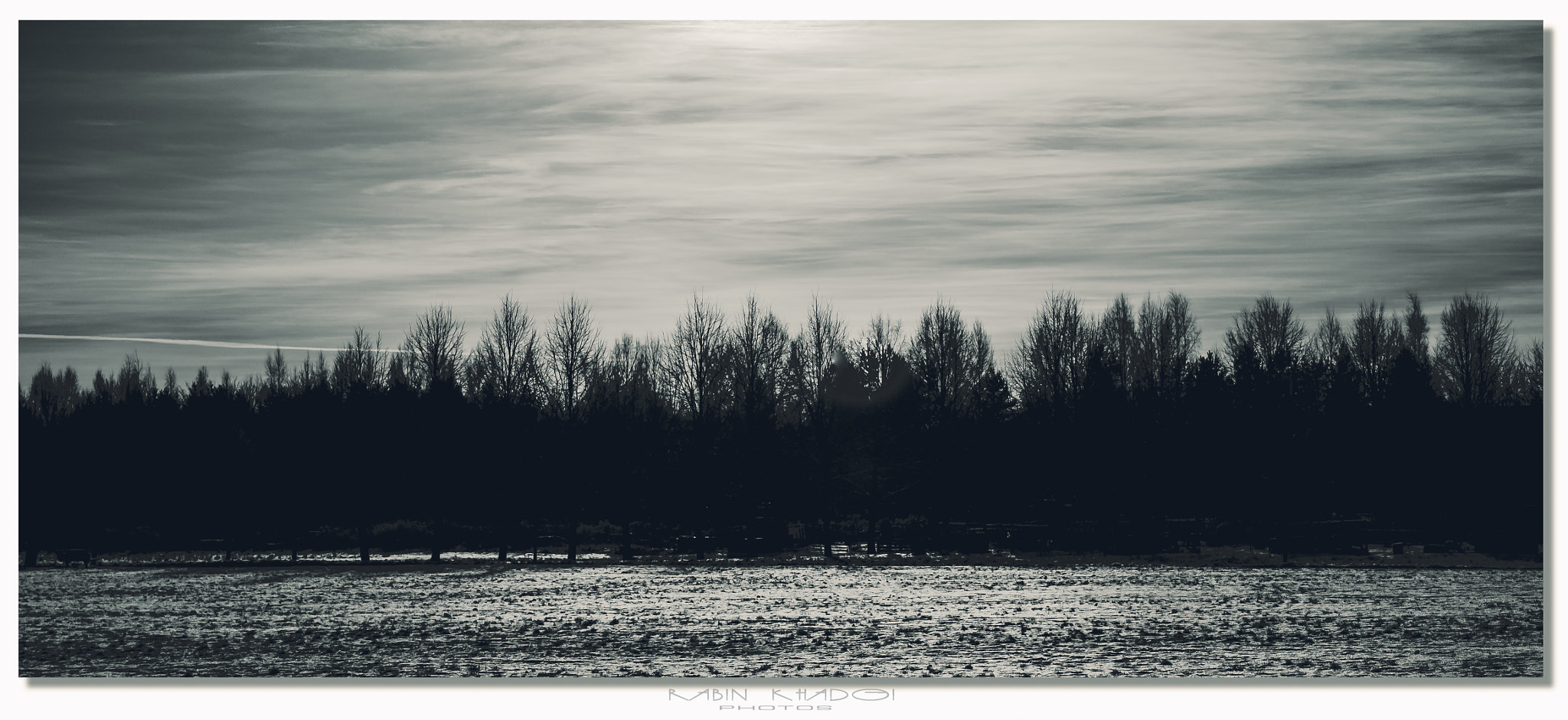 LUMIX G VARIO 12-60/F3.5-5.6 sample photo. Winter monochrome photography
