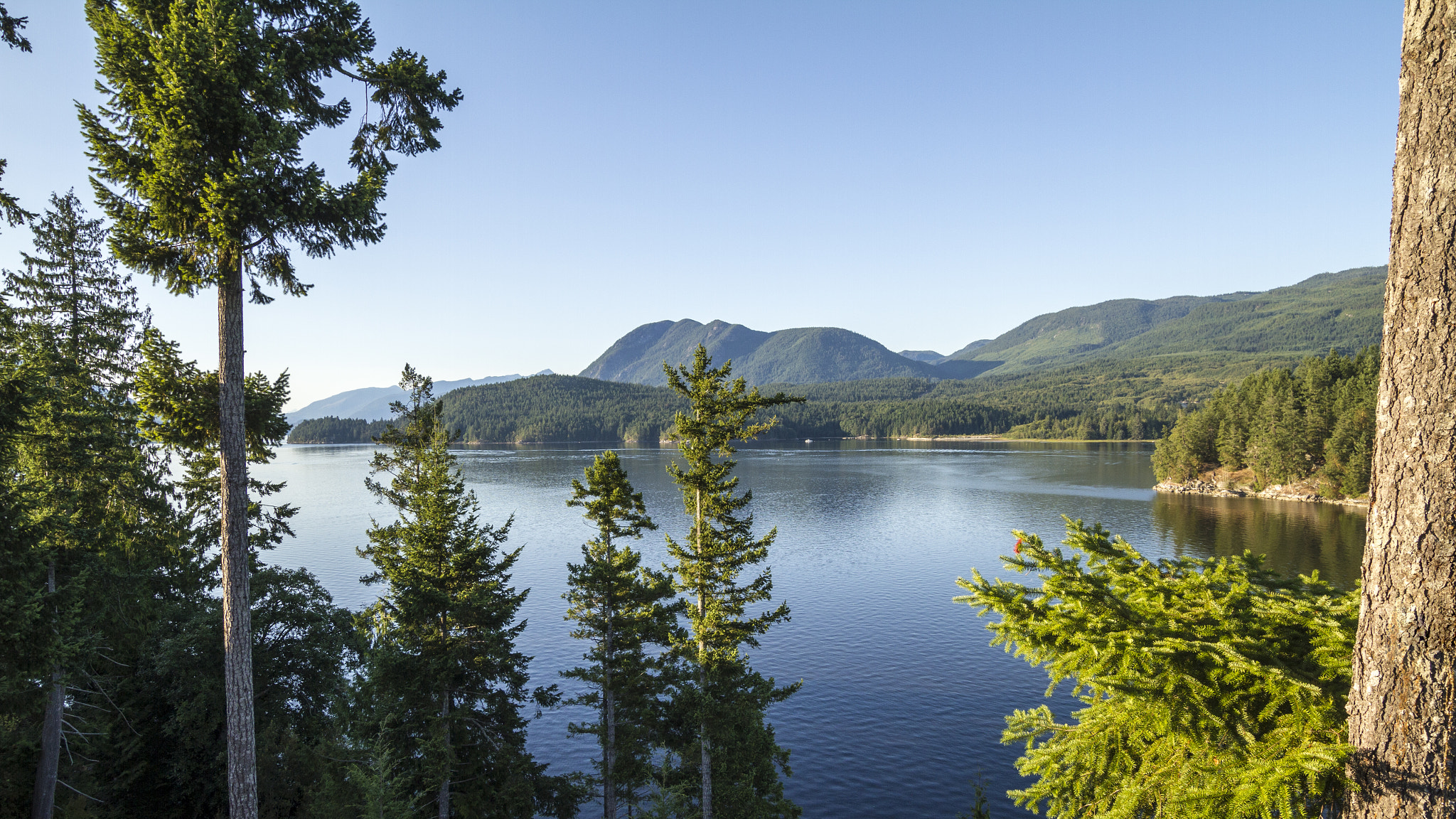 Sigma 10-20mm F3.5 EX DC HSM sample photo. Vancouver island photography