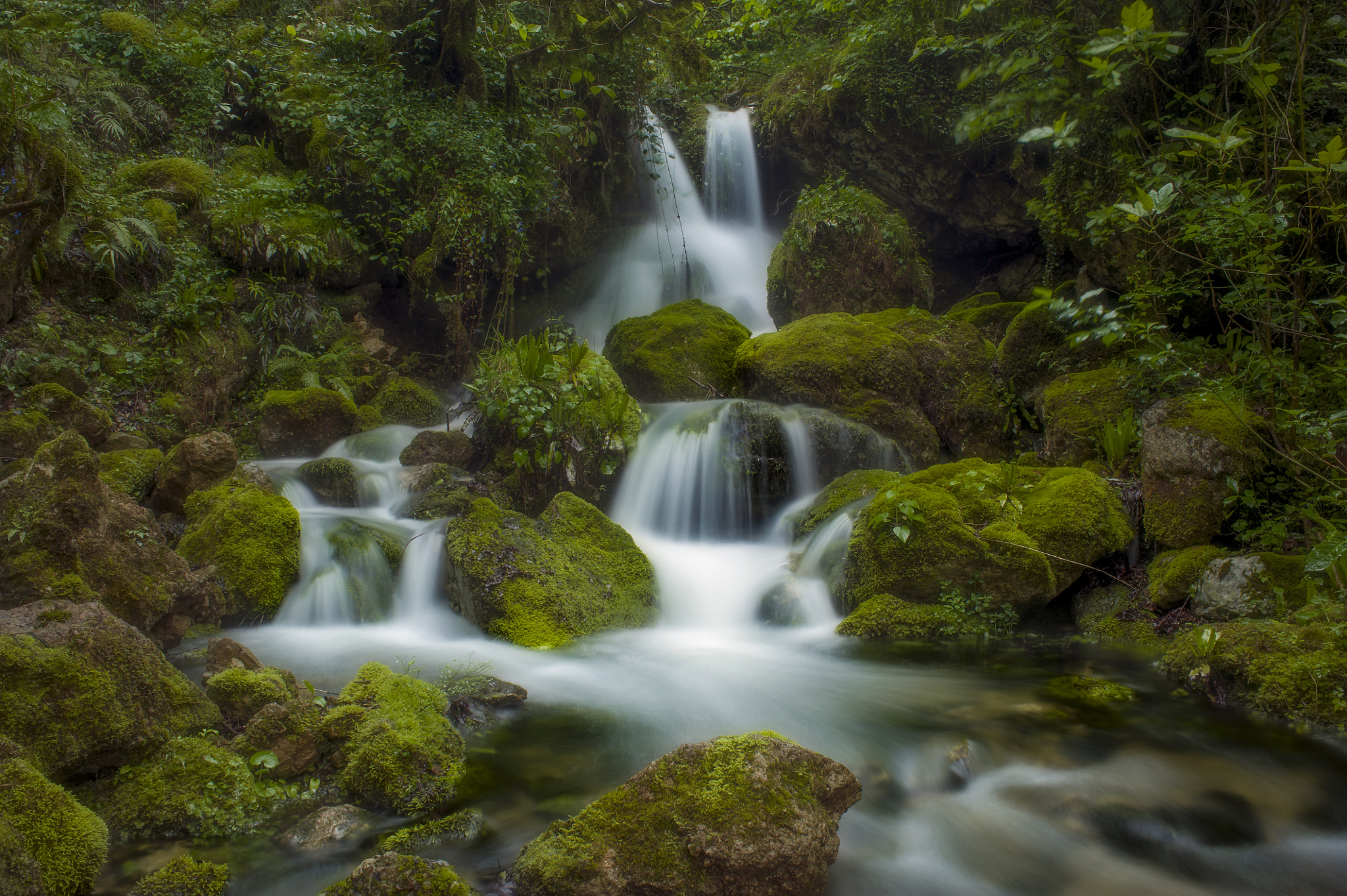 Nikon AF Nikkor 28mm F2.8D sample photo. Melody of little strem photography