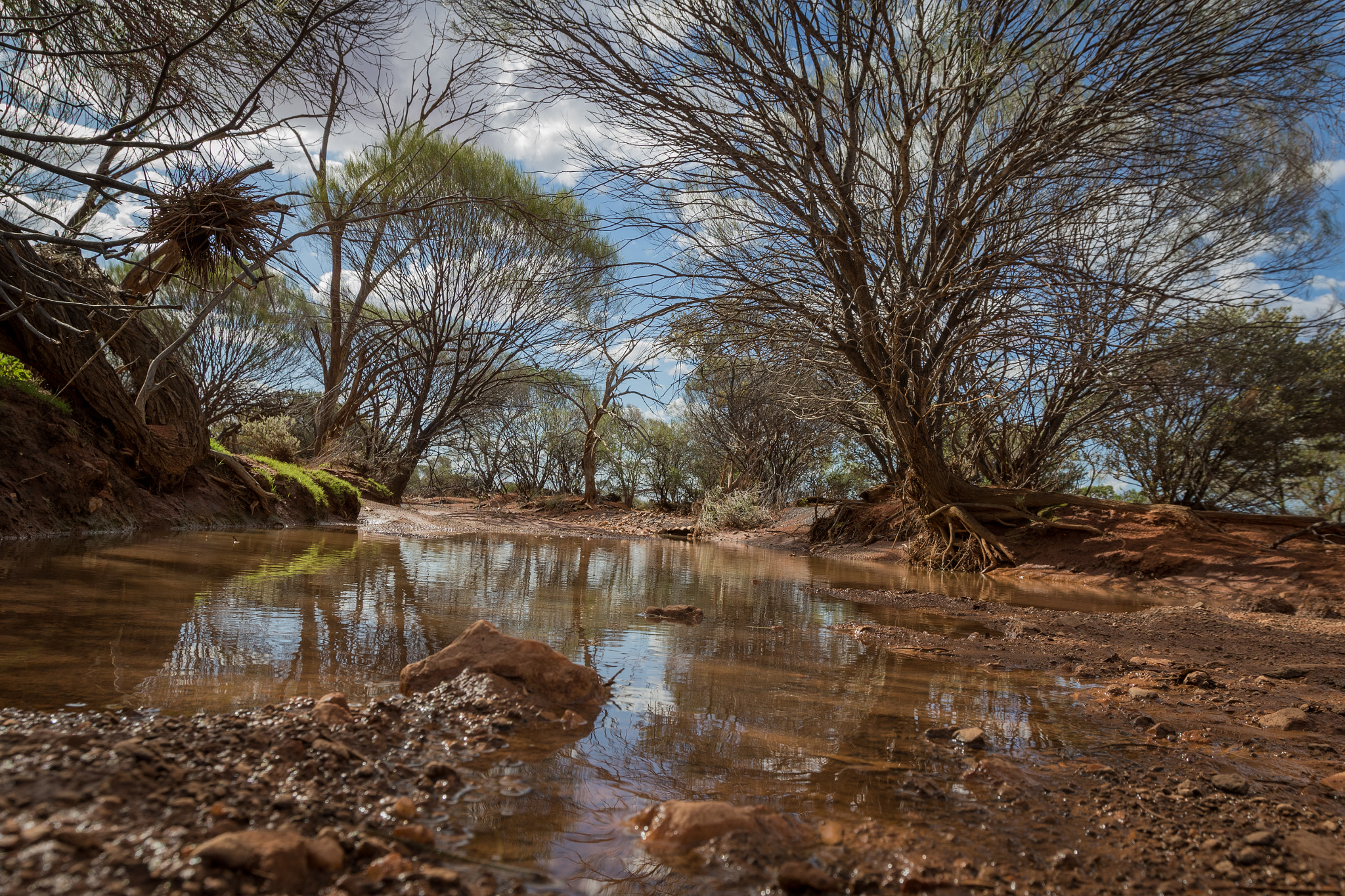 Canon EF 16-35mm F2.8L II USM sample photo. After the rains photography