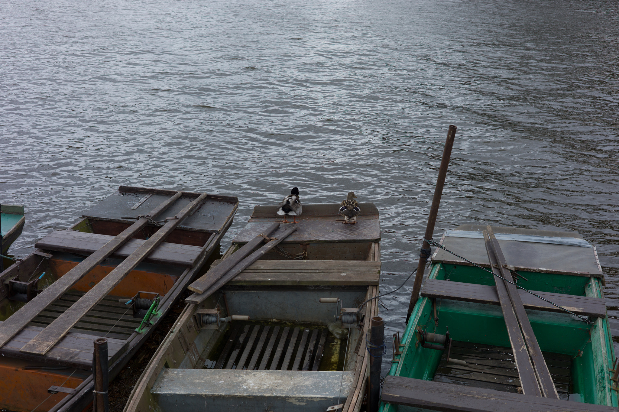 Leica M9 + Summicron-M 50mm f/2 (III) sample photo. Boat photography