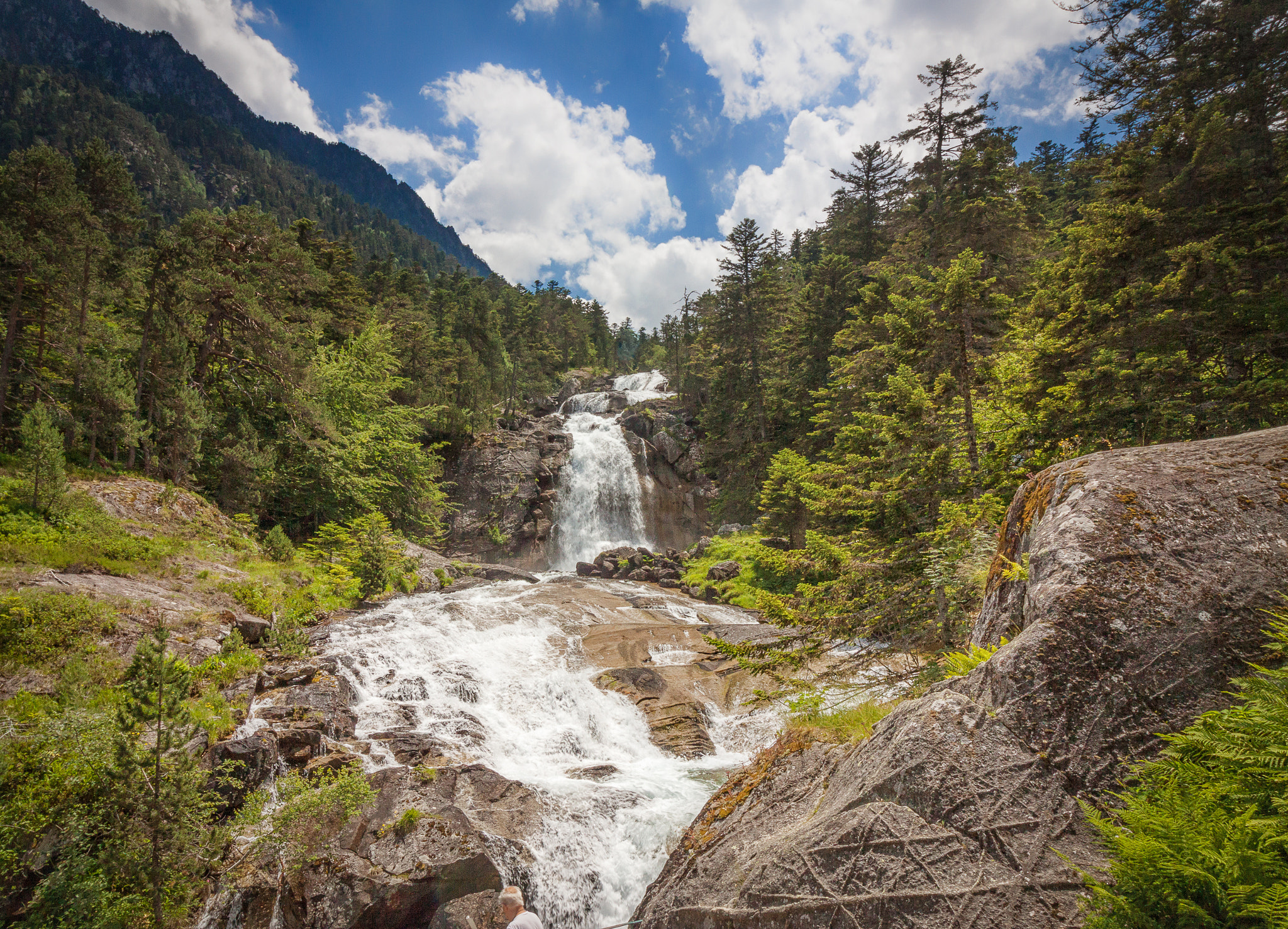 Canon EOS 50D sample photo. Flowing forest photography