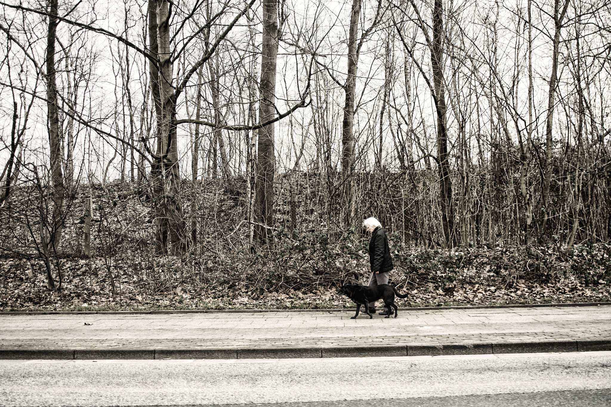 AF Zoom-Nikkor 28-105mm f/3.5-4.5D IF sample photo. Elderly girls photography