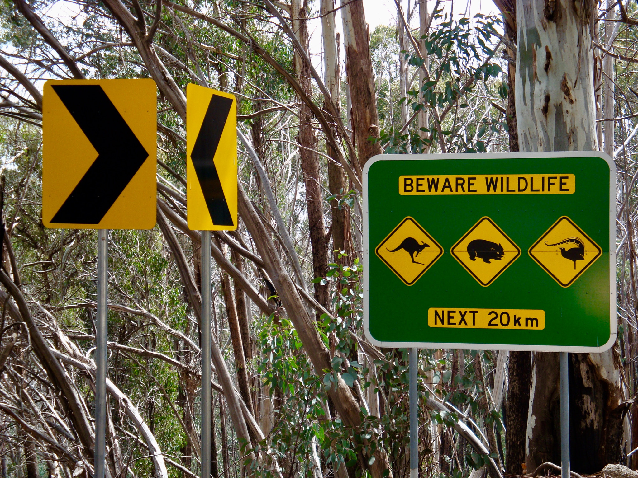 Sony Cyber-shot DSC-W150 sample photo. "beware wildlife" - australia photography