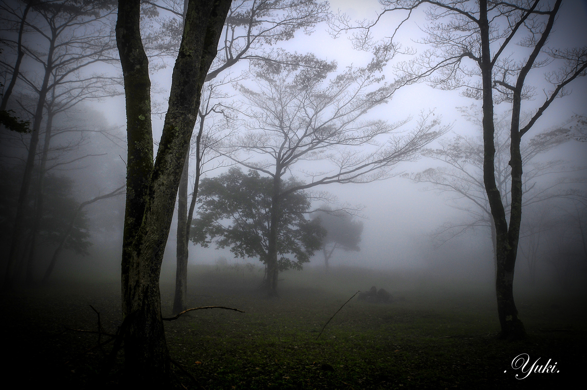 Nikon AF-S Nikkor 17-35mm F2.8D ED-IF sample photo. 内山牧場 濃霧 photography