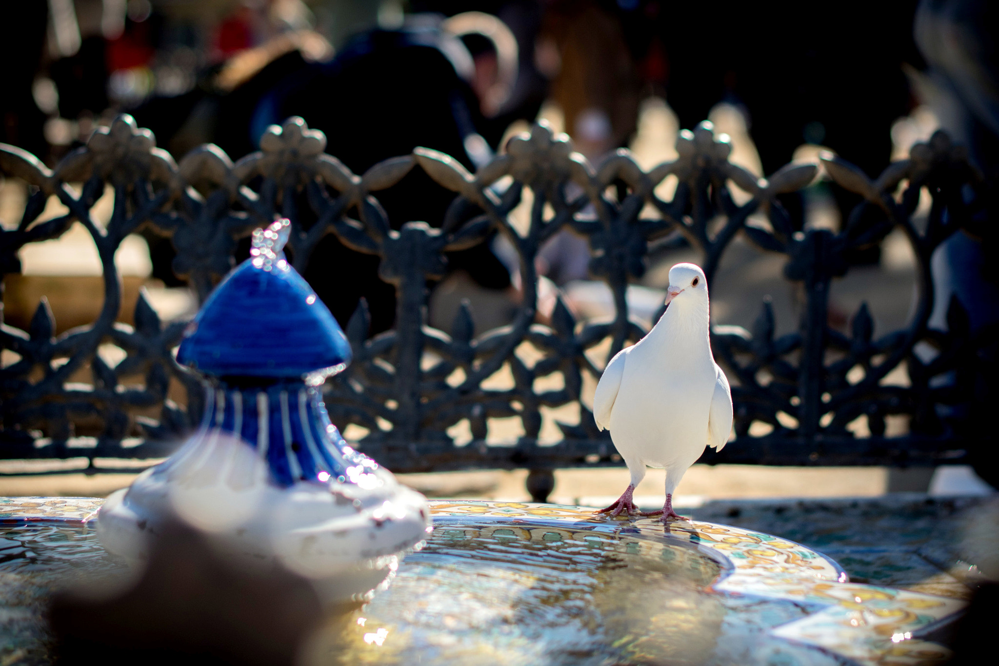 Nikon D3300 + Nikon AF-S Nikkor 50mm F1.4G sample photo. Parque de maría luisa (sevilla) photography