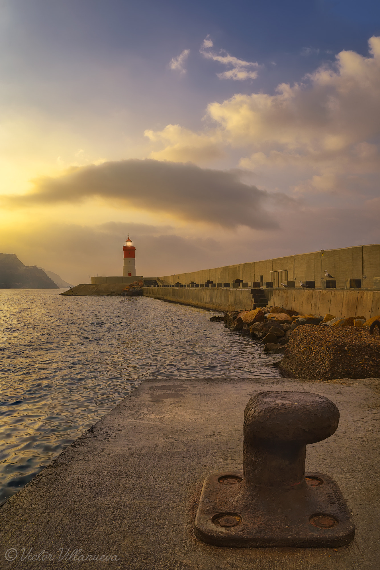 Sigma 24-70mm F2.8 EX DG HSM sample photo. Noray photography